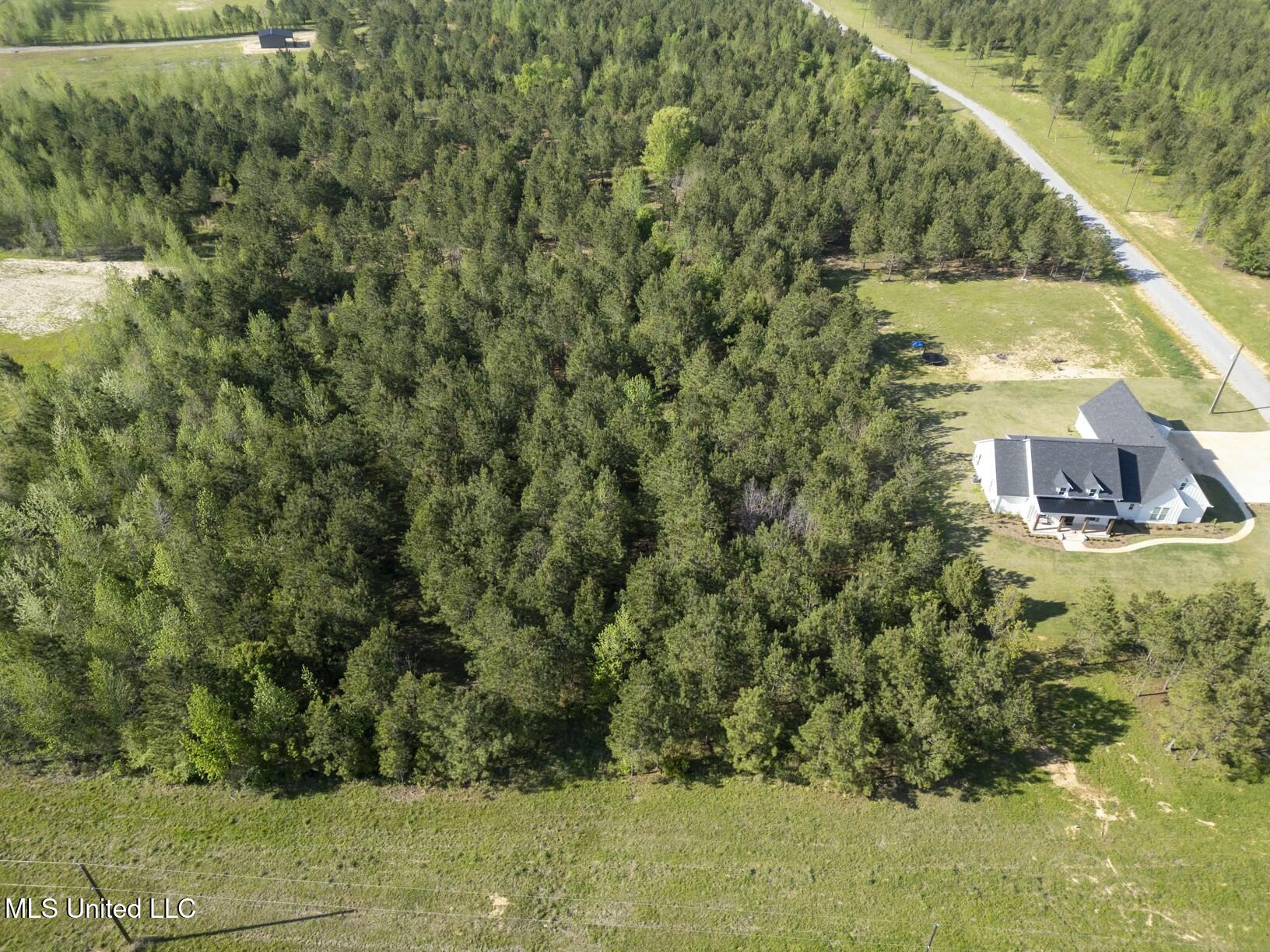 Stout Road, Canton, Mississippi image 5