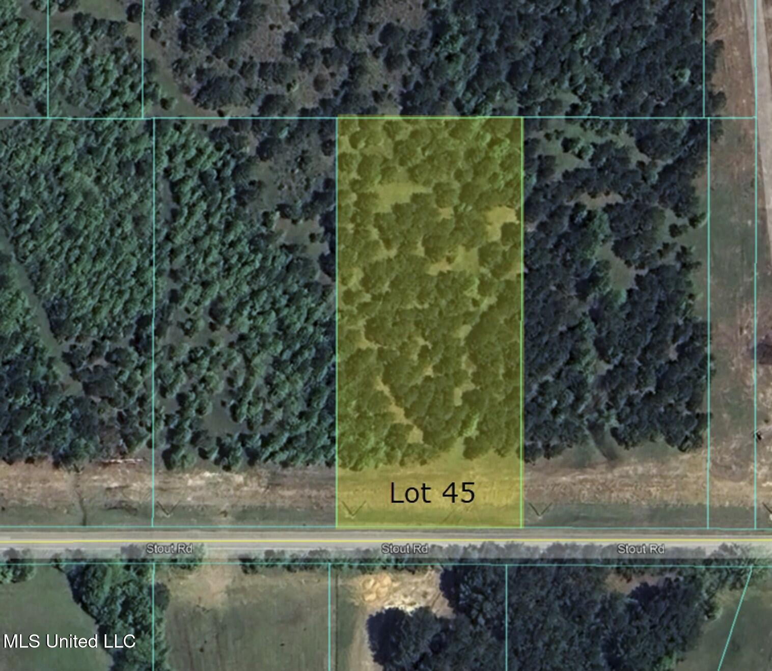 Stout Road, Canton, Mississippi image 1