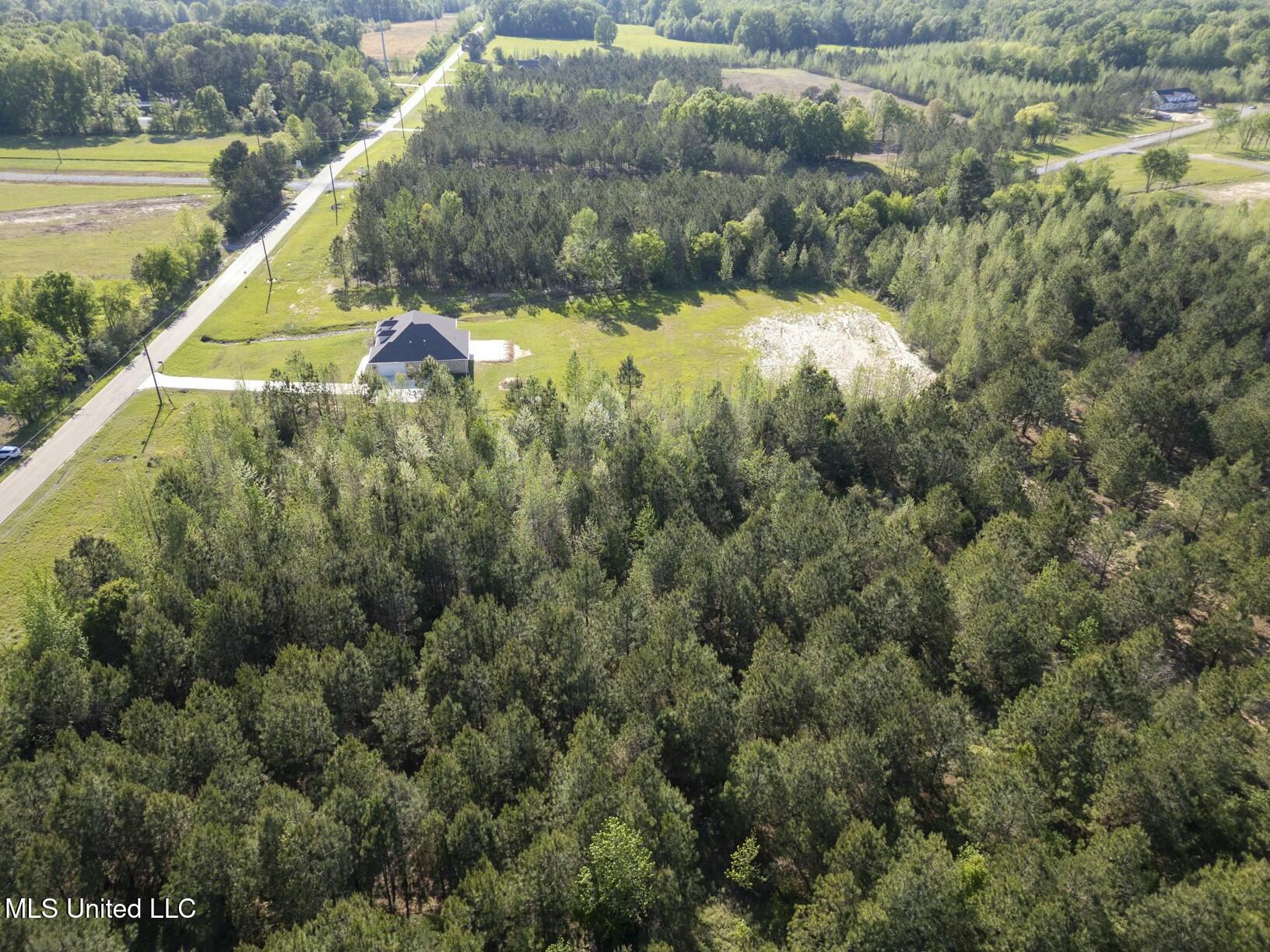 Stout Road, Canton, Mississippi image 3