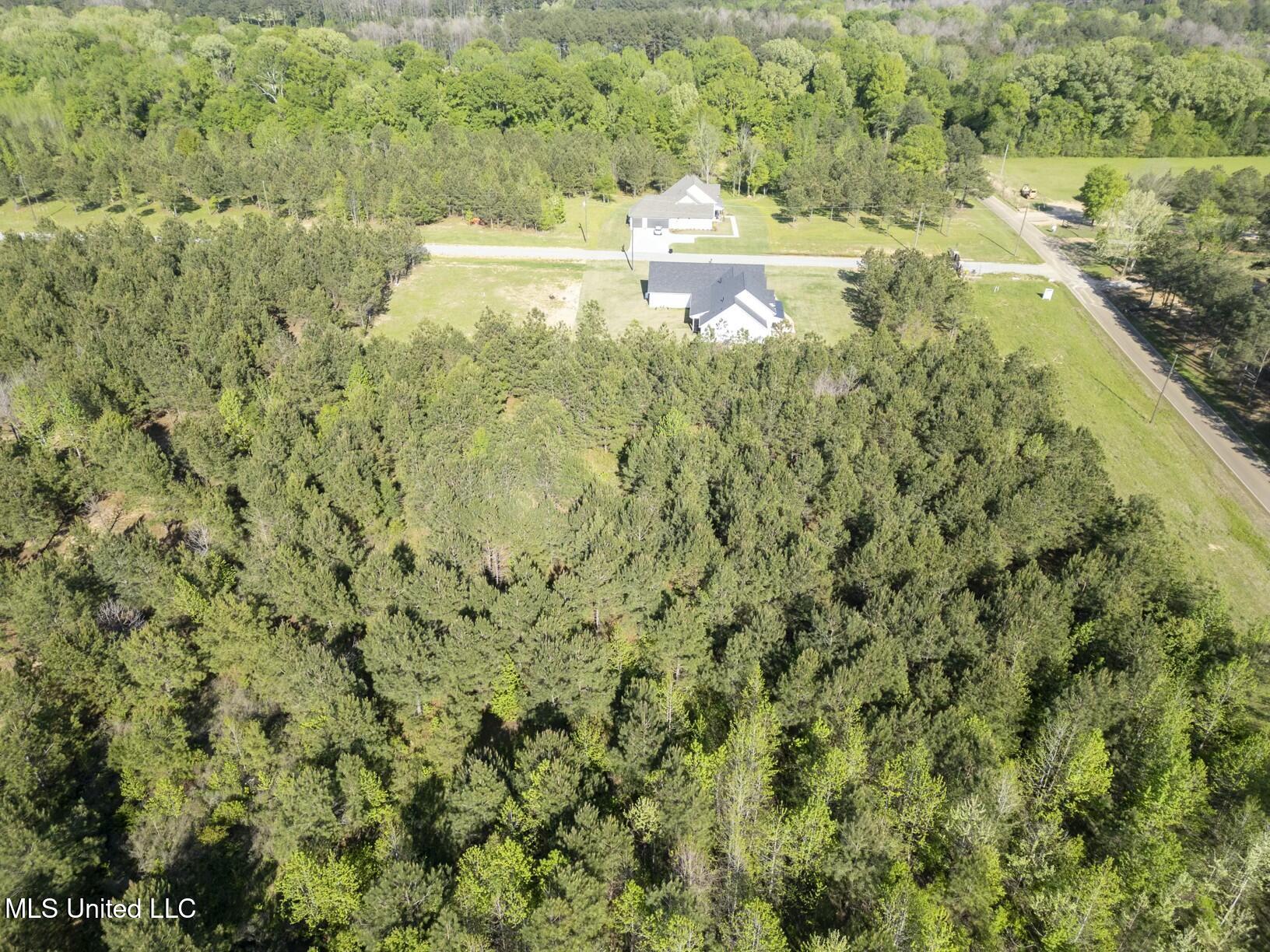 Stout Road, Canton, Mississippi image 2