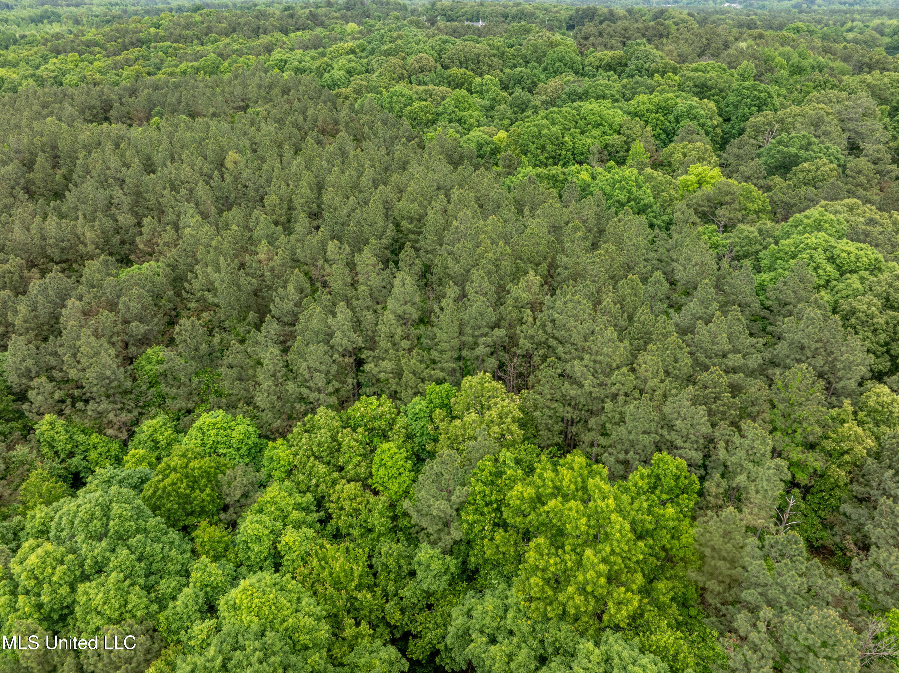Mcmillan, Holly Springs, Mississippi image 14