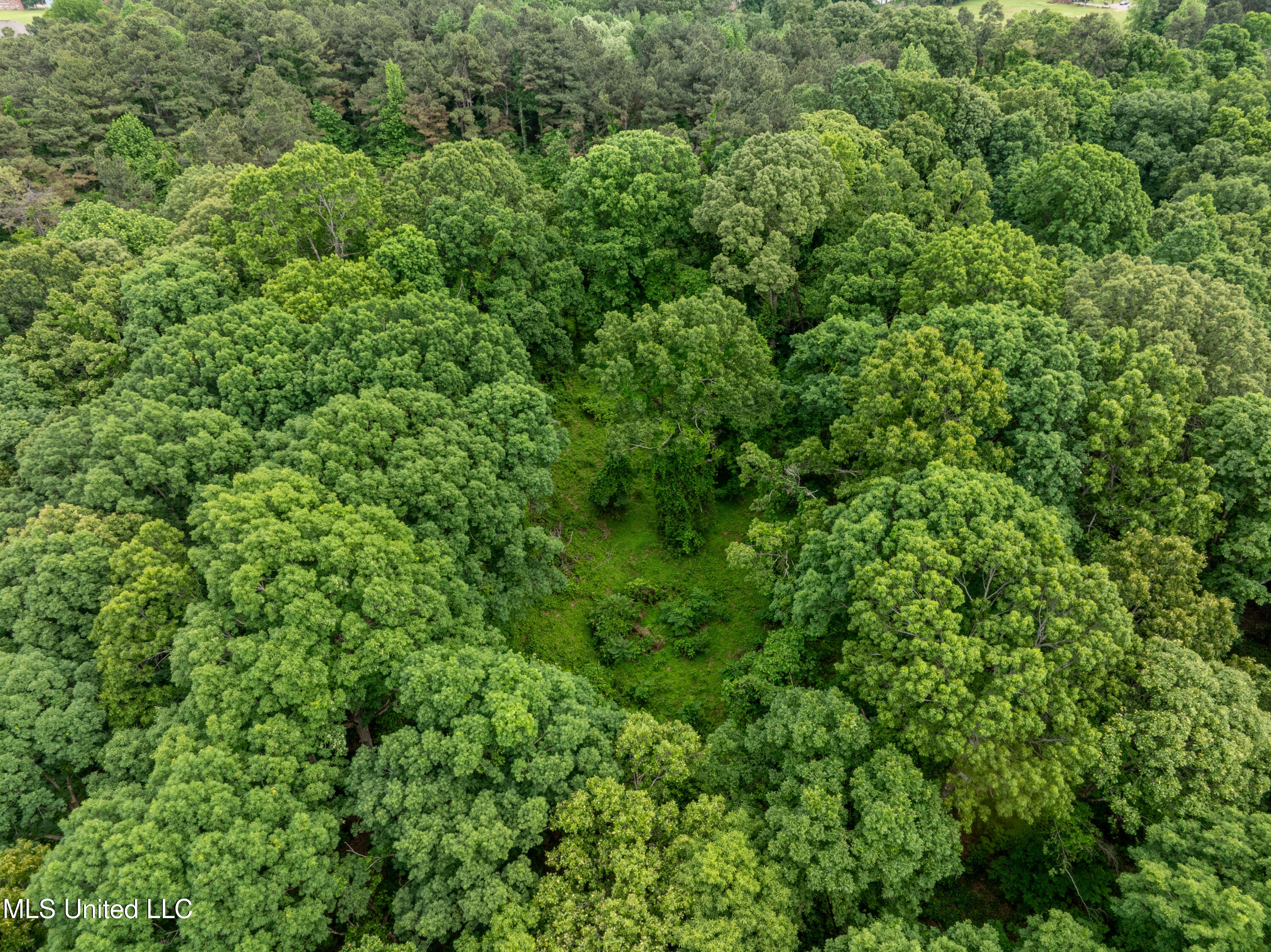 Mcmillan, Holly Springs, Mississippi image 10