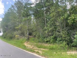 Tanner Williams Rd -parcel 8, Lucedale, Mississippi image 3