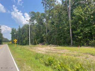 Tanner Williams Rd -parcel 8, Lucedale, Mississippi image 6