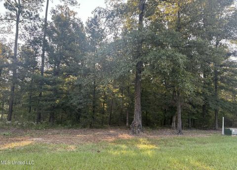 Vacant Land For Sale - 00 Shire Avenue<br/> Forest, MS 39074