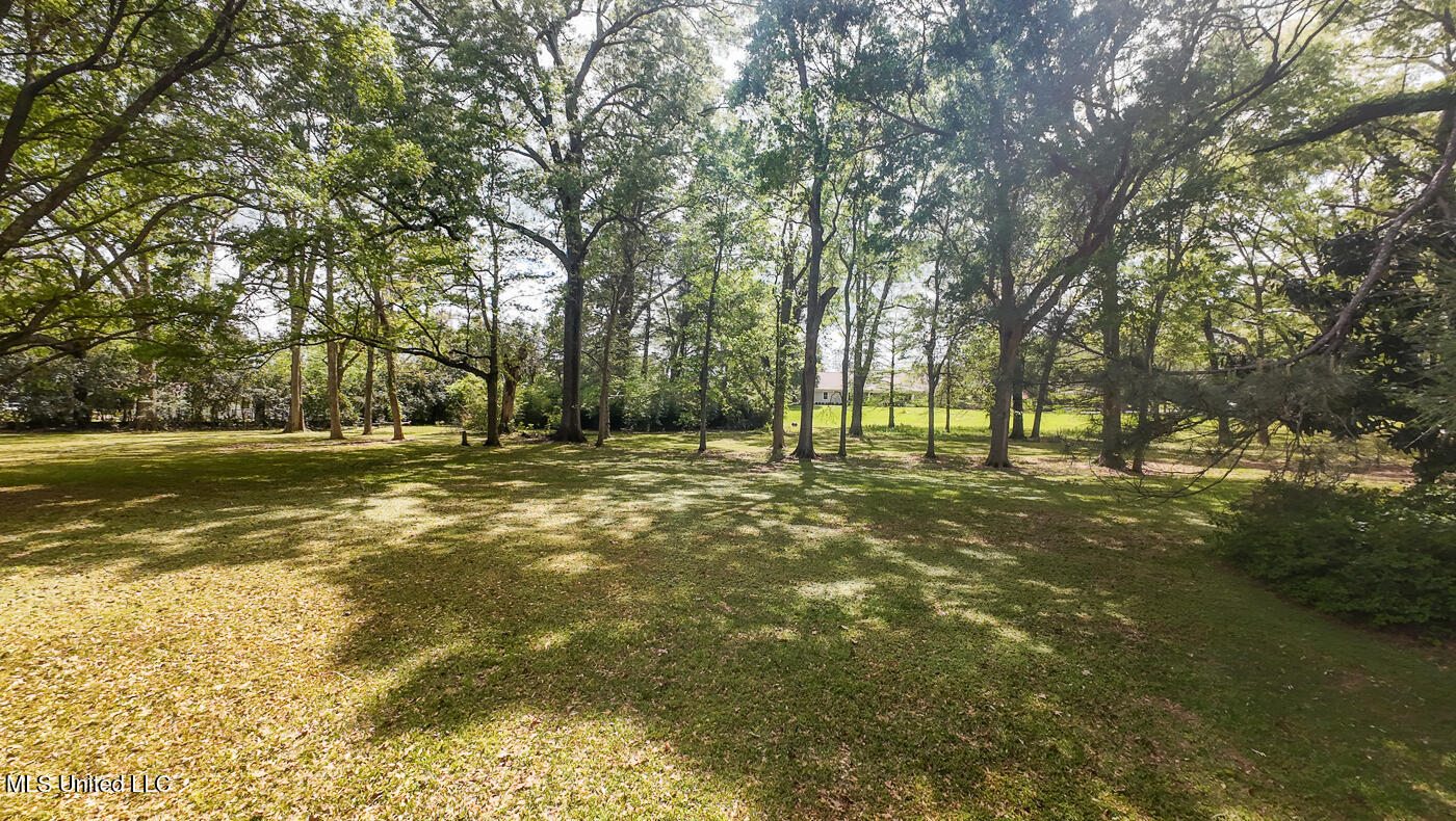 9 Adam Circle Cir, Natchez, Mississippi image 50