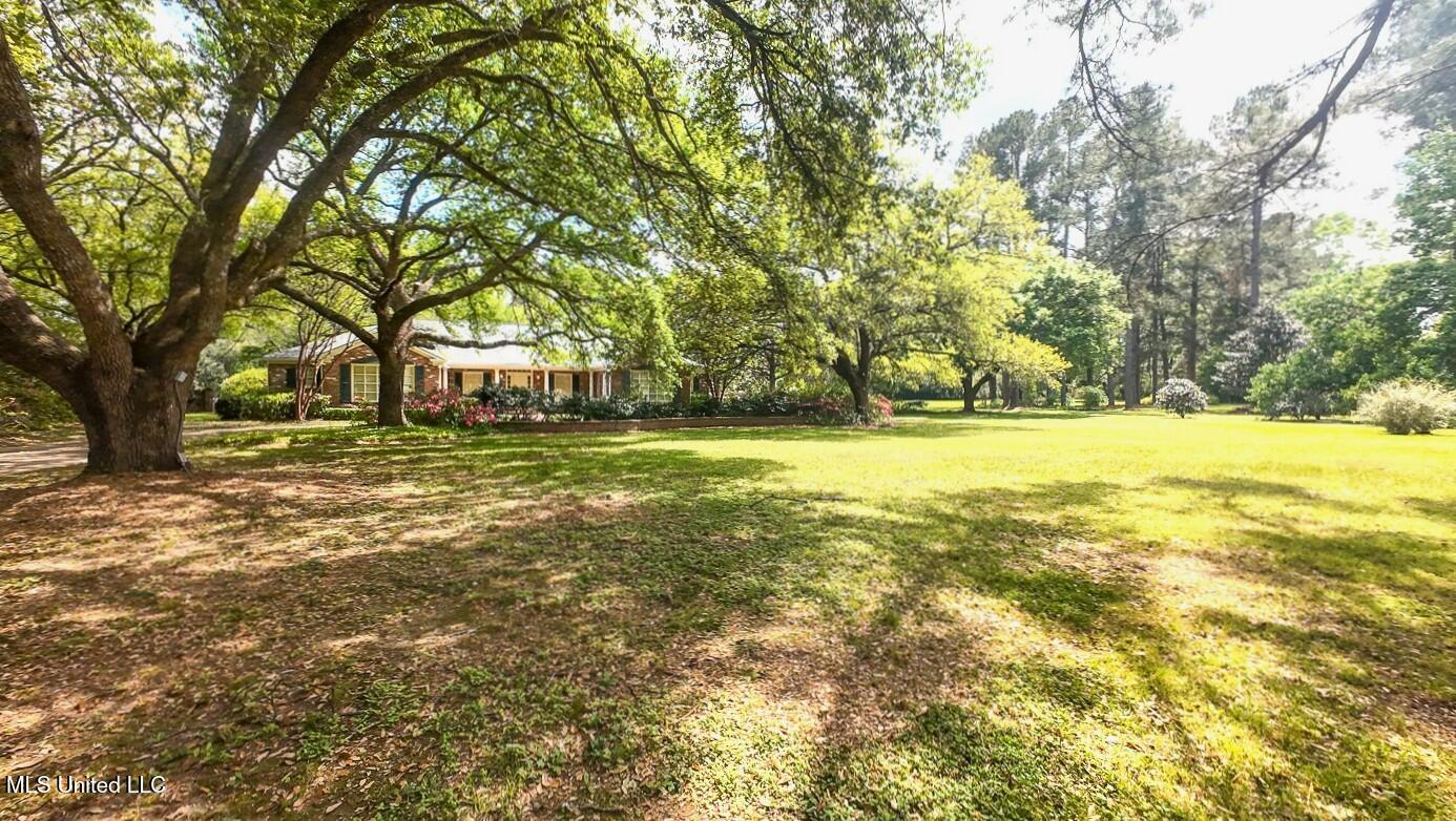 9 Adam Circle Cir, Natchez, Mississippi image 2