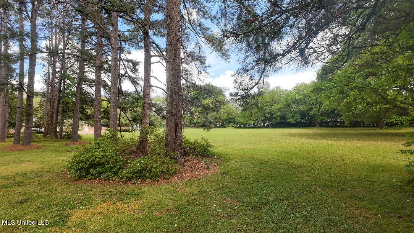 9 Adam Circle Cir, Natchez, Mississippi image 4