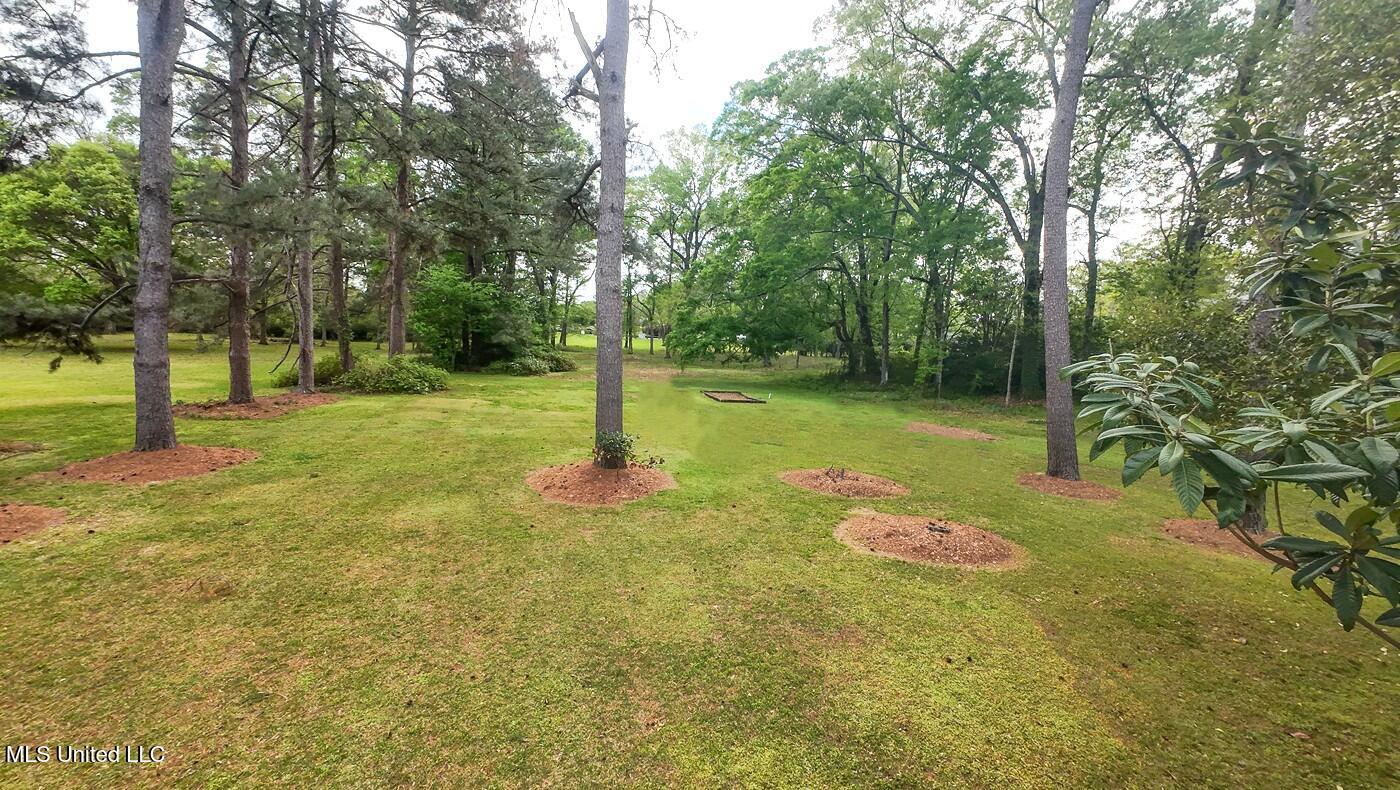 9 Adam Circle Cir, Natchez, Mississippi image 3
