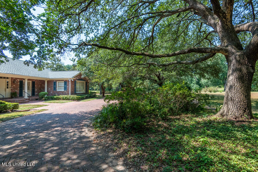 9 Adam Circle Cir, Natchez, Mississippi image 10