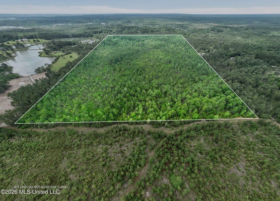 80 ACRES DR, PERKINSTON, MS 39573 - Image bb2569e99c0cff176bc7cde3fdc70ee3/2913865780