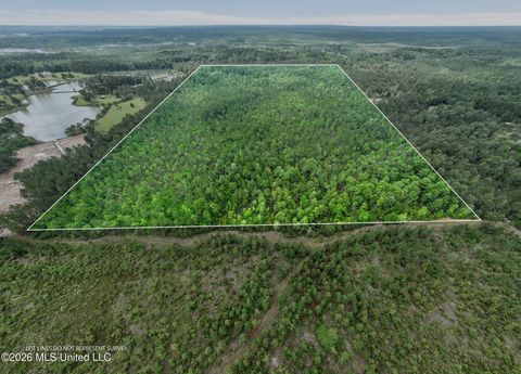 Vacant Land For Sale - 80 Acres Blue Wood Dr<br/> Vancleave, MS 39565