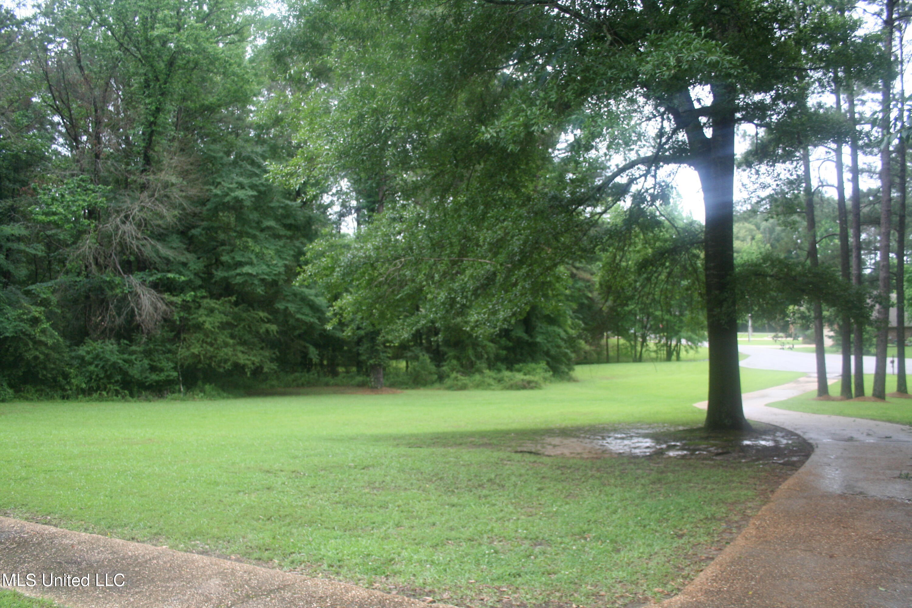 304 Whitetail Court, Florence, Mississippi image 7