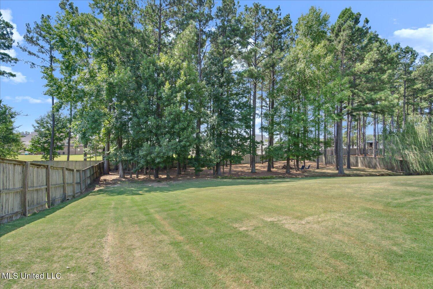 3655 S New Pointe Drive, Southaven, Mississippi image 39