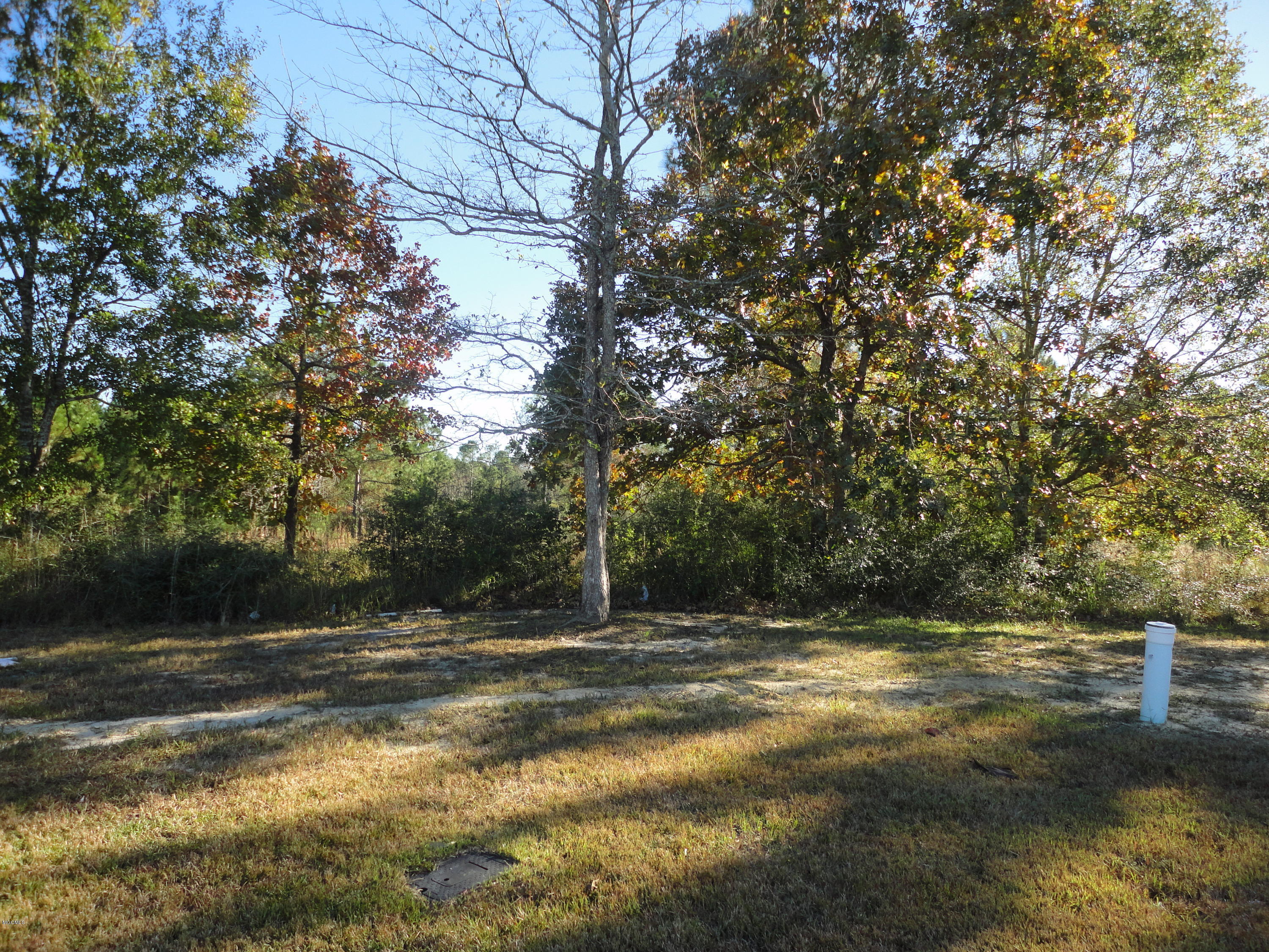 Calloway Cove, Gautier, Mississippi image 3