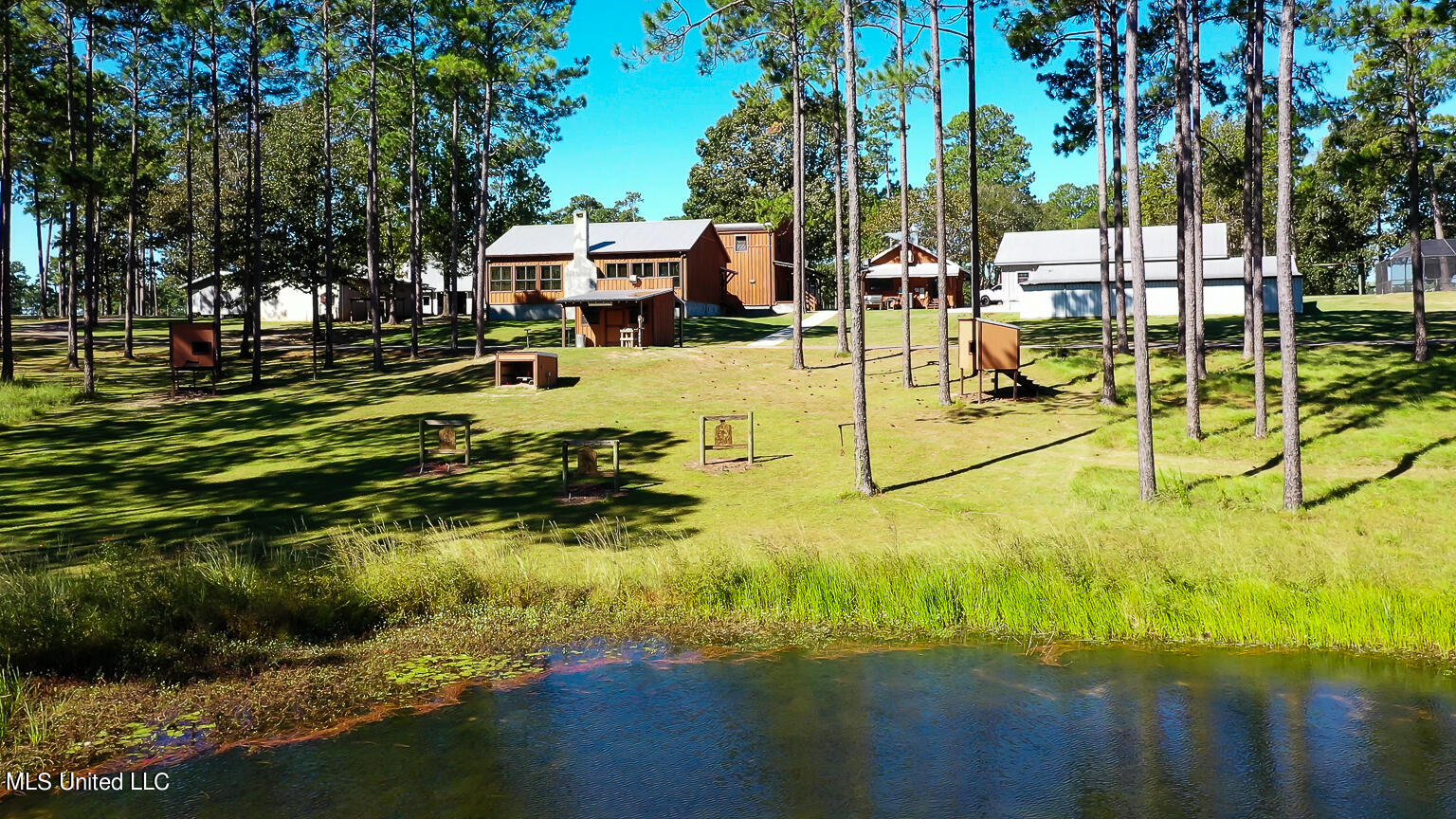 172 S Fork Ranch, Poplarville, Mississippi image 8