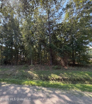 20TH STREET, BAY SAINT LOUIS, MS 39520 - Image bbacbf069bead758920bf832b09fc9a7/2260854865
