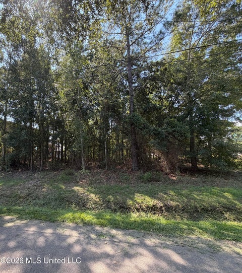Vacant Land For Sale - 20th Street<br/> Hancock County, Bay Saint Louis, MS 39520