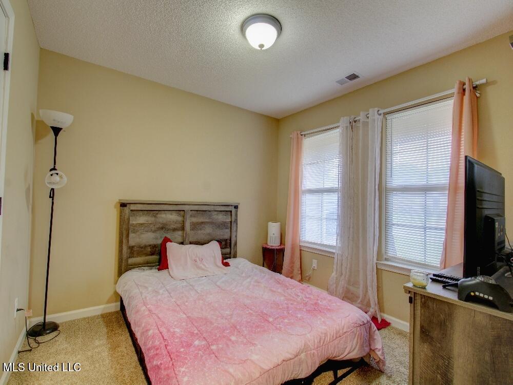 8669 Smith Ranch Drive, Southaven, Mississippi image 14