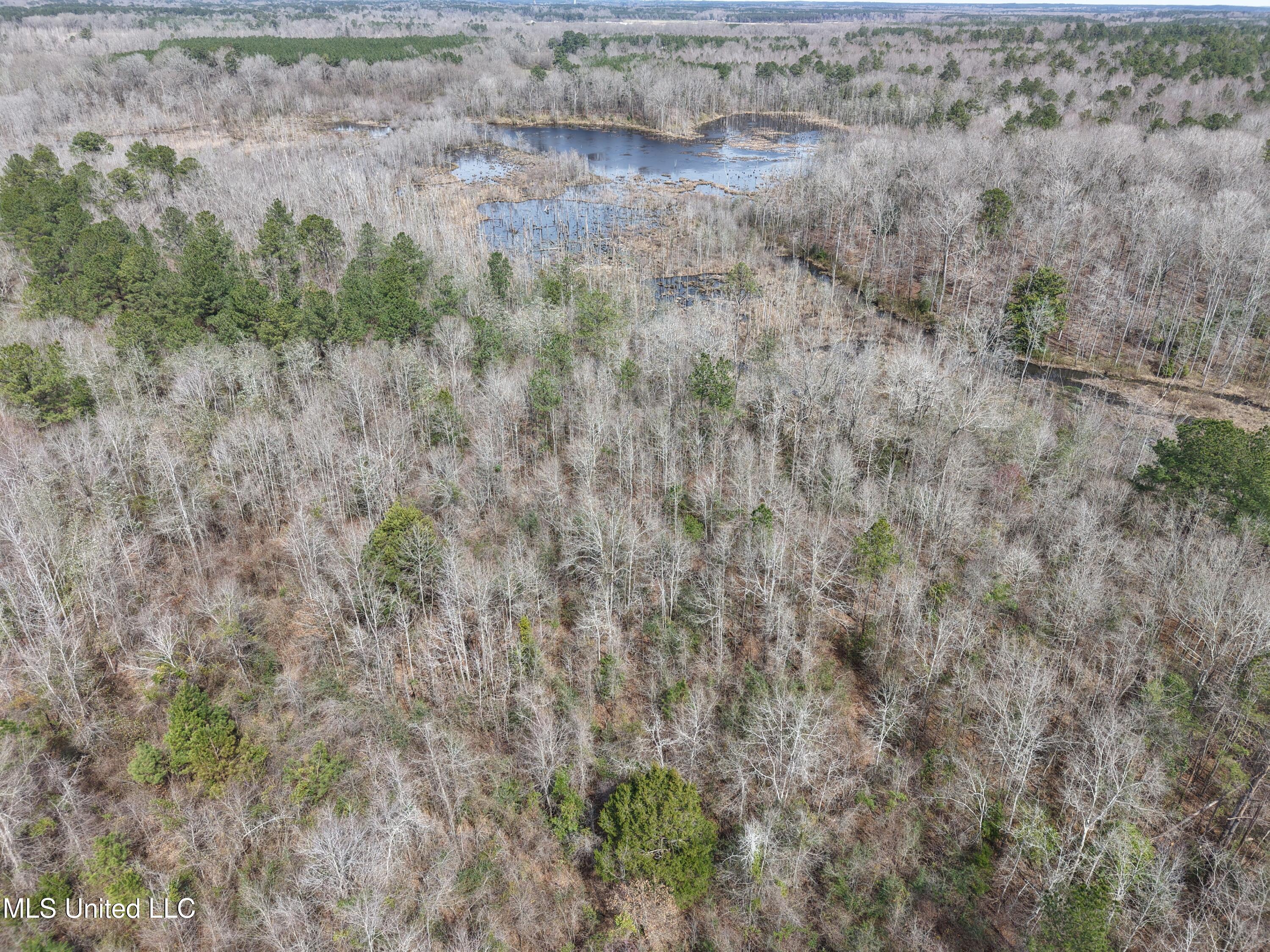 Clyde Evans Rd, Newton, Mississippi image 17
