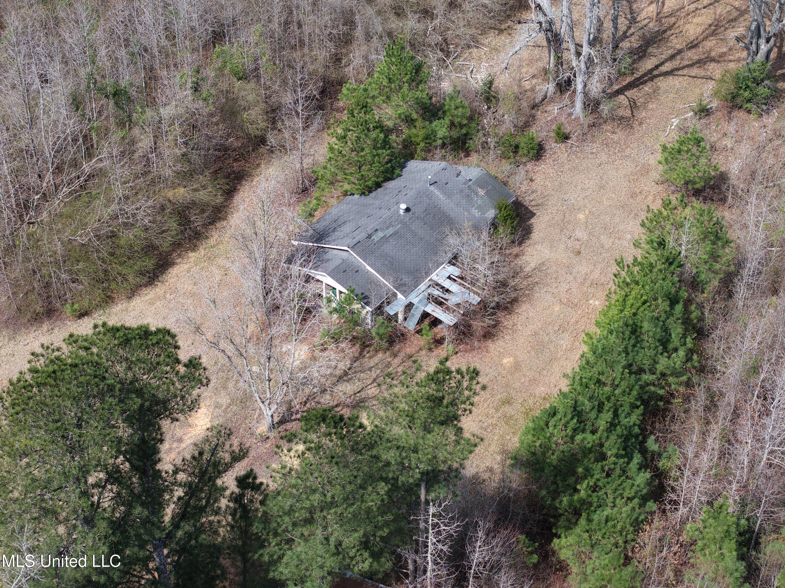 Clyde Evans Rd, Newton, Mississippi image 19