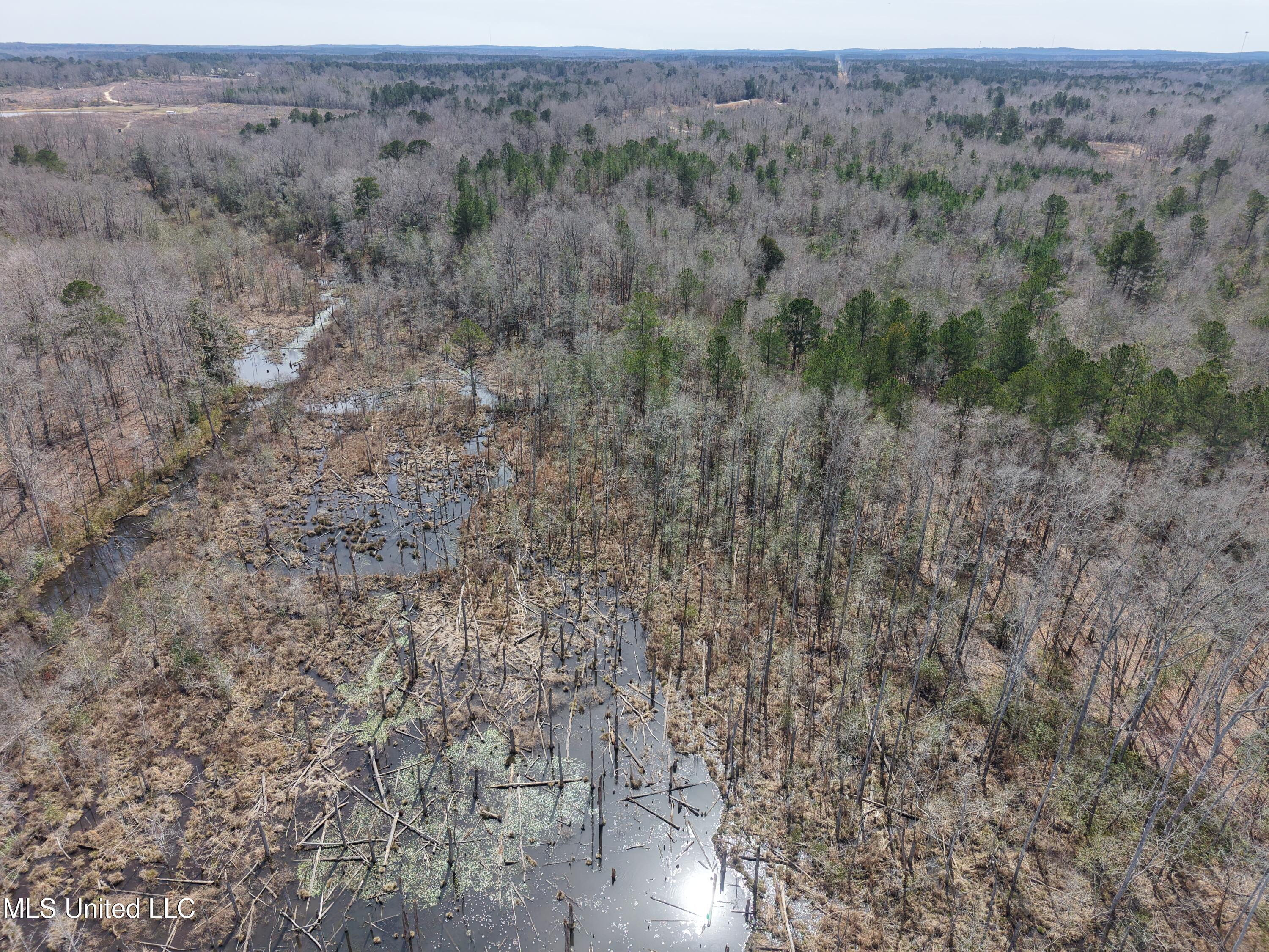 Clyde Evans Rd, Newton, Mississippi image 29