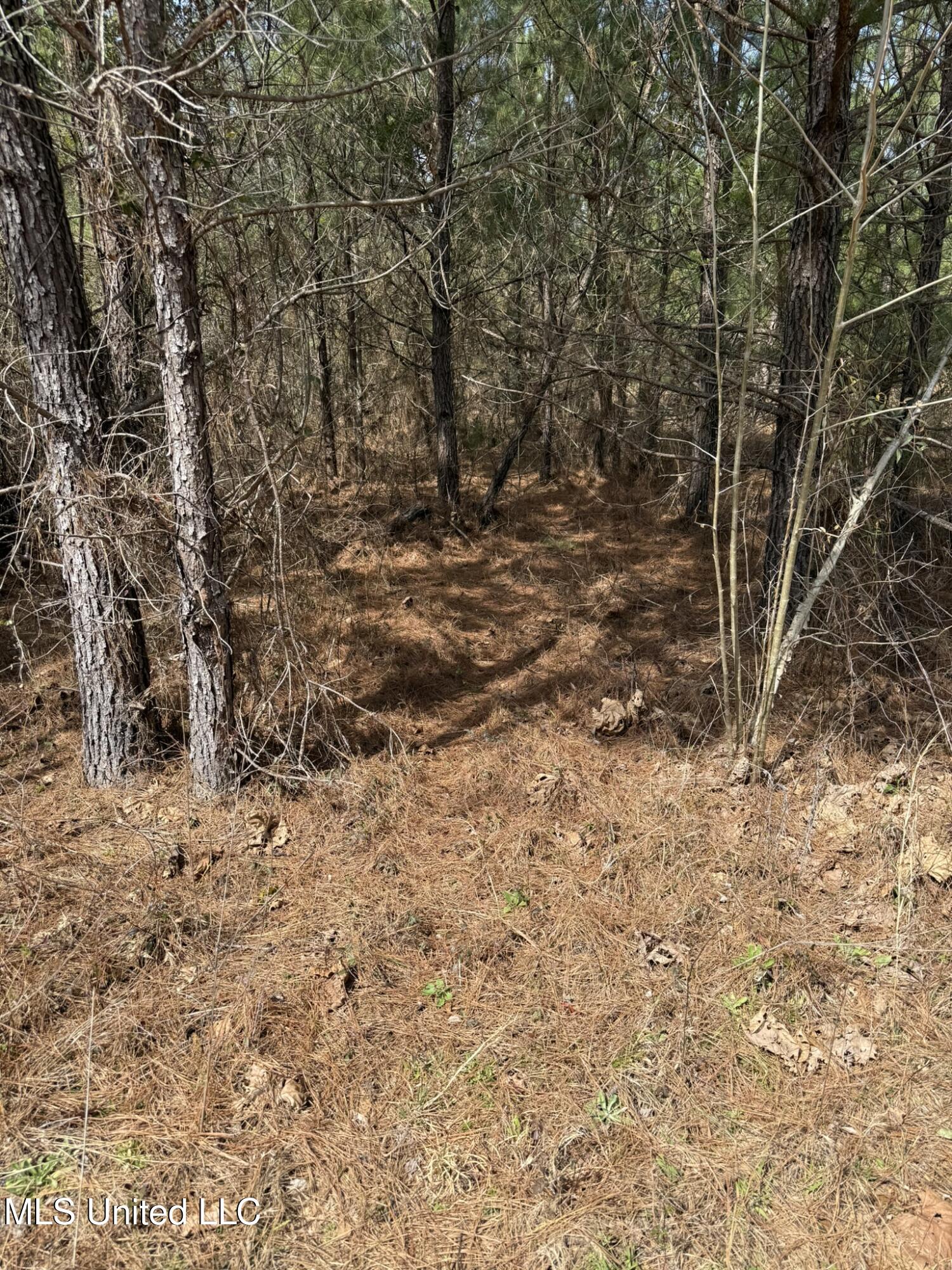 Clyde Evans Rd, Newton, Mississippi image 5