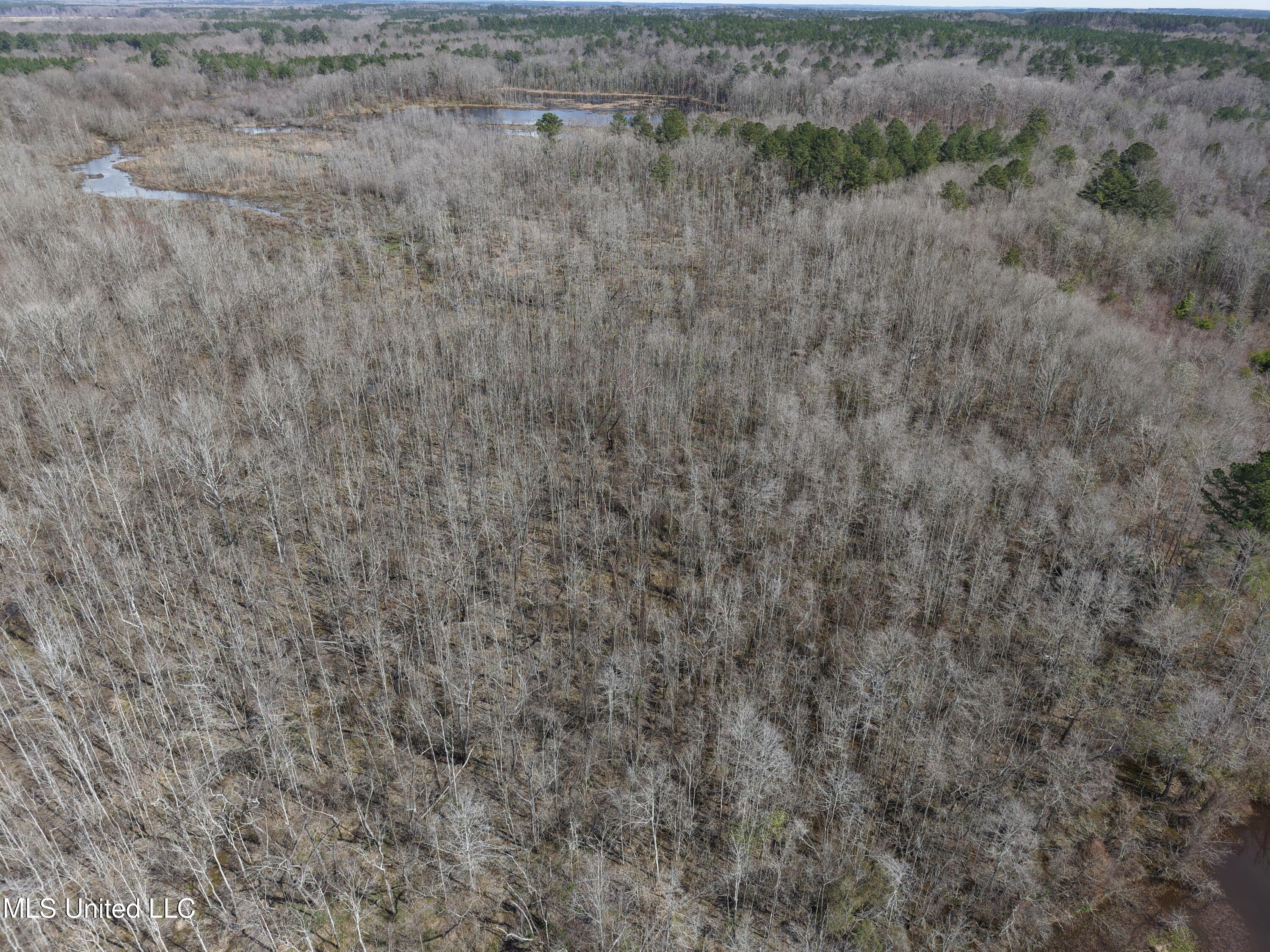 Clyde Evans Rd, Newton, Mississippi image 27