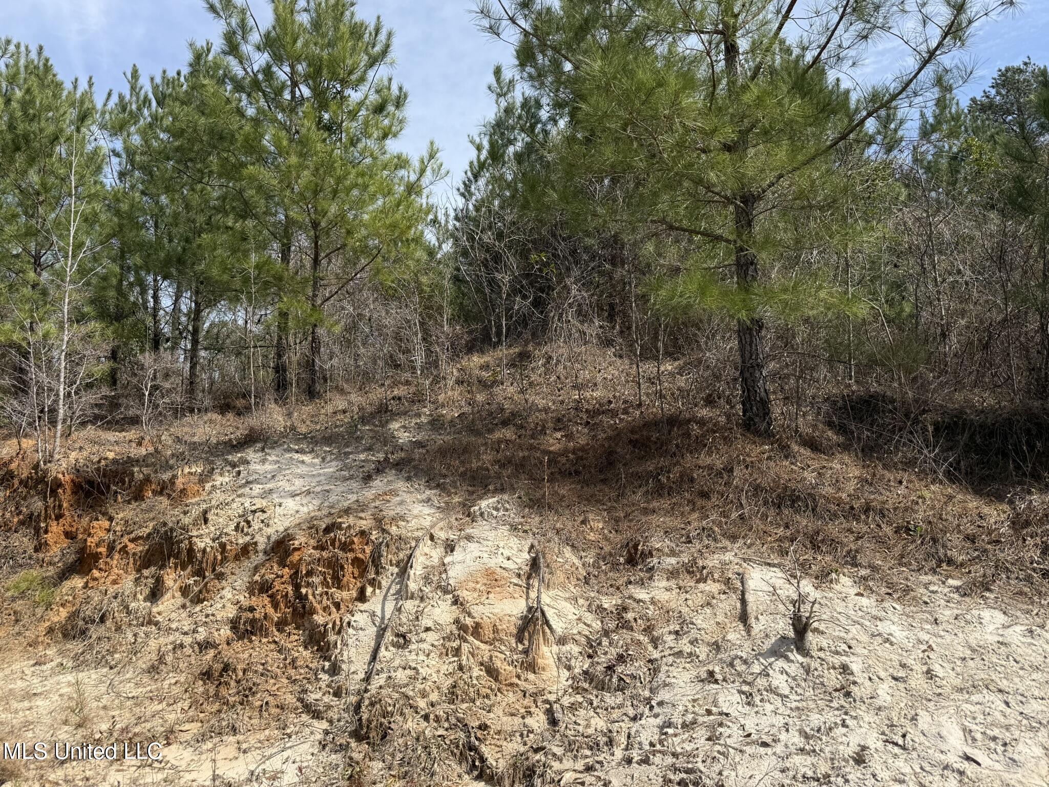 Clyde Evans Rd, Newton, Mississippi image 9