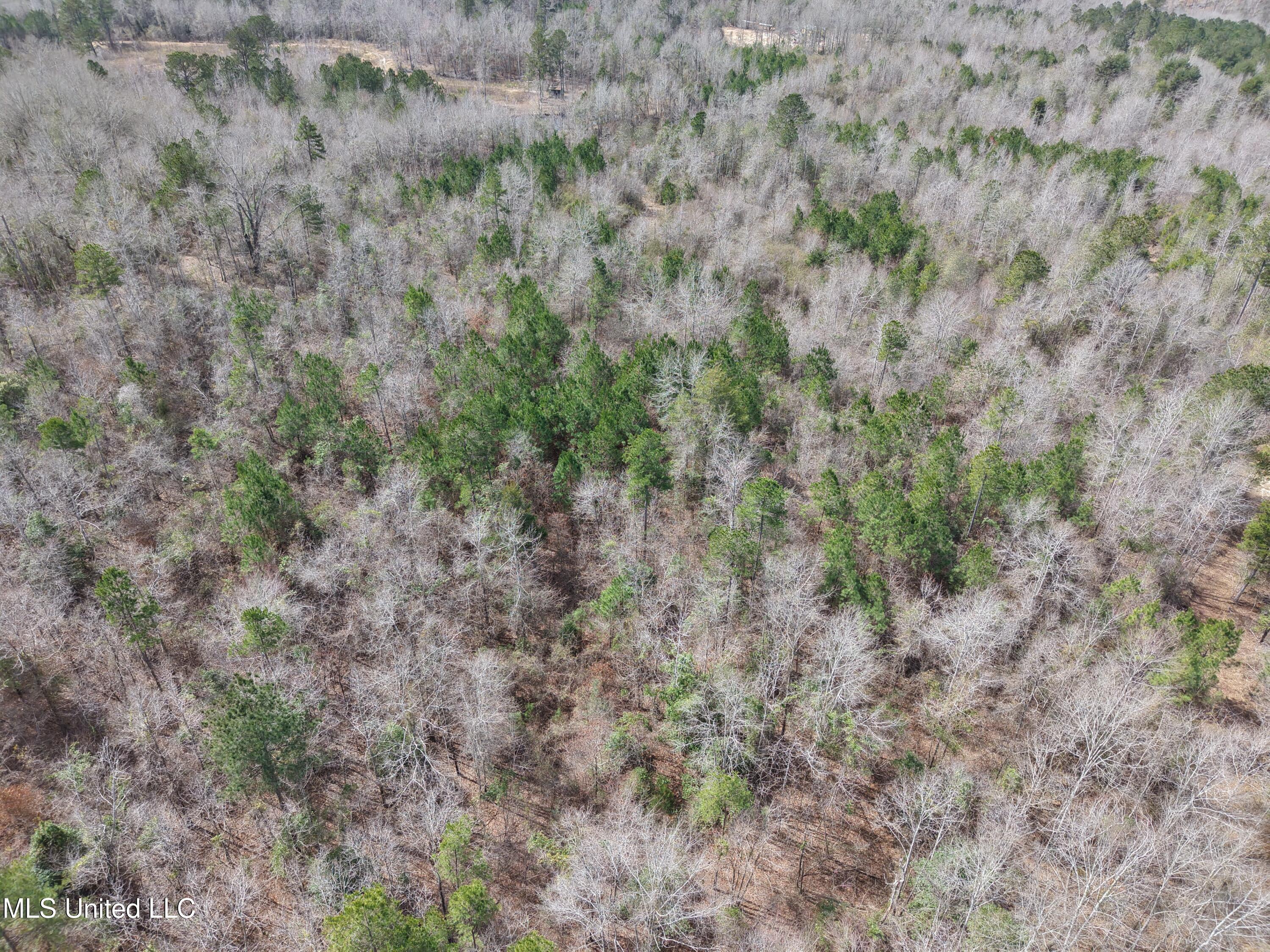 Clyde Evans Rd, Newton, Mississippi image 18