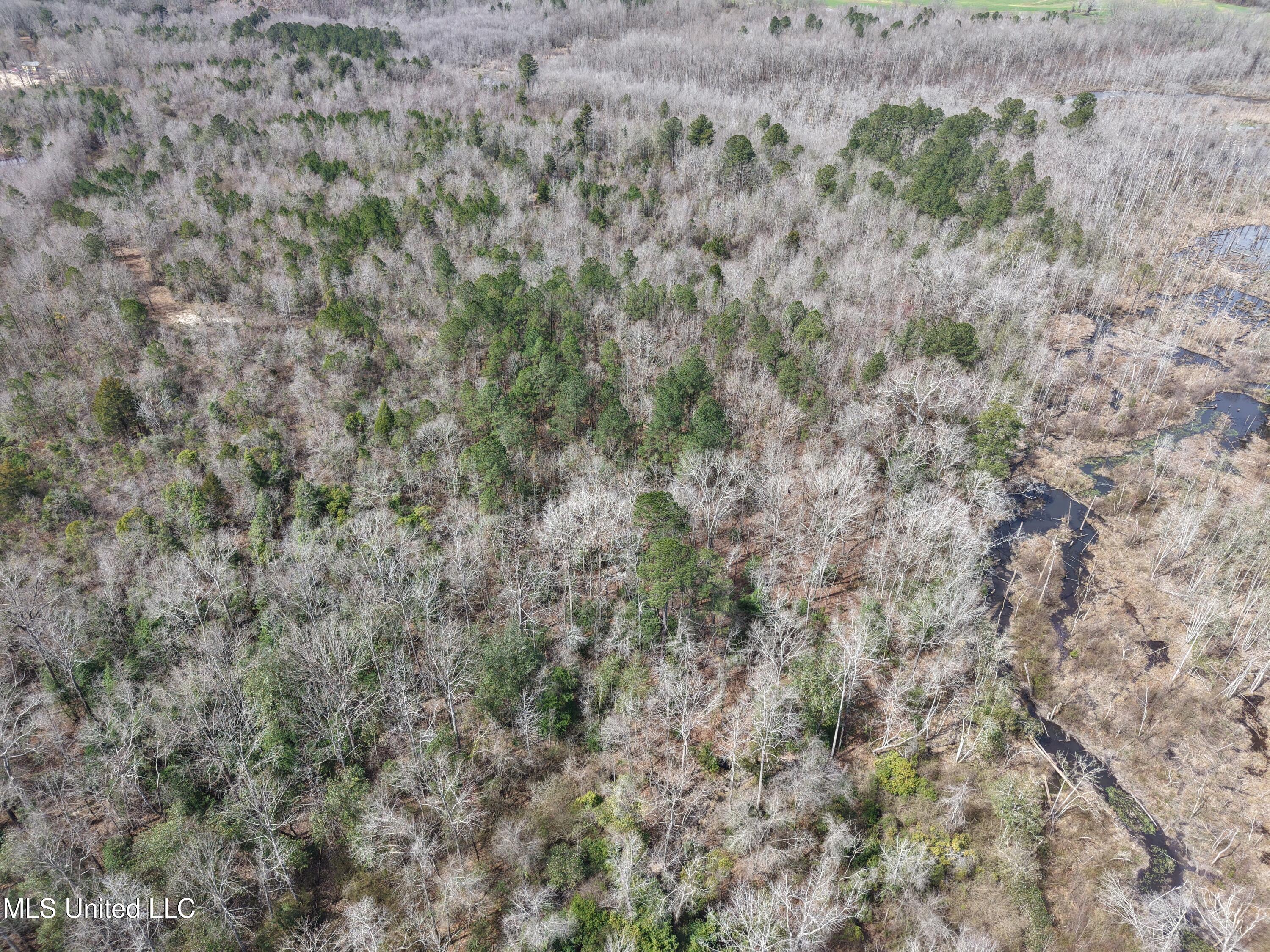 Clyde Evans Rd, Newton, Mississippi image 24