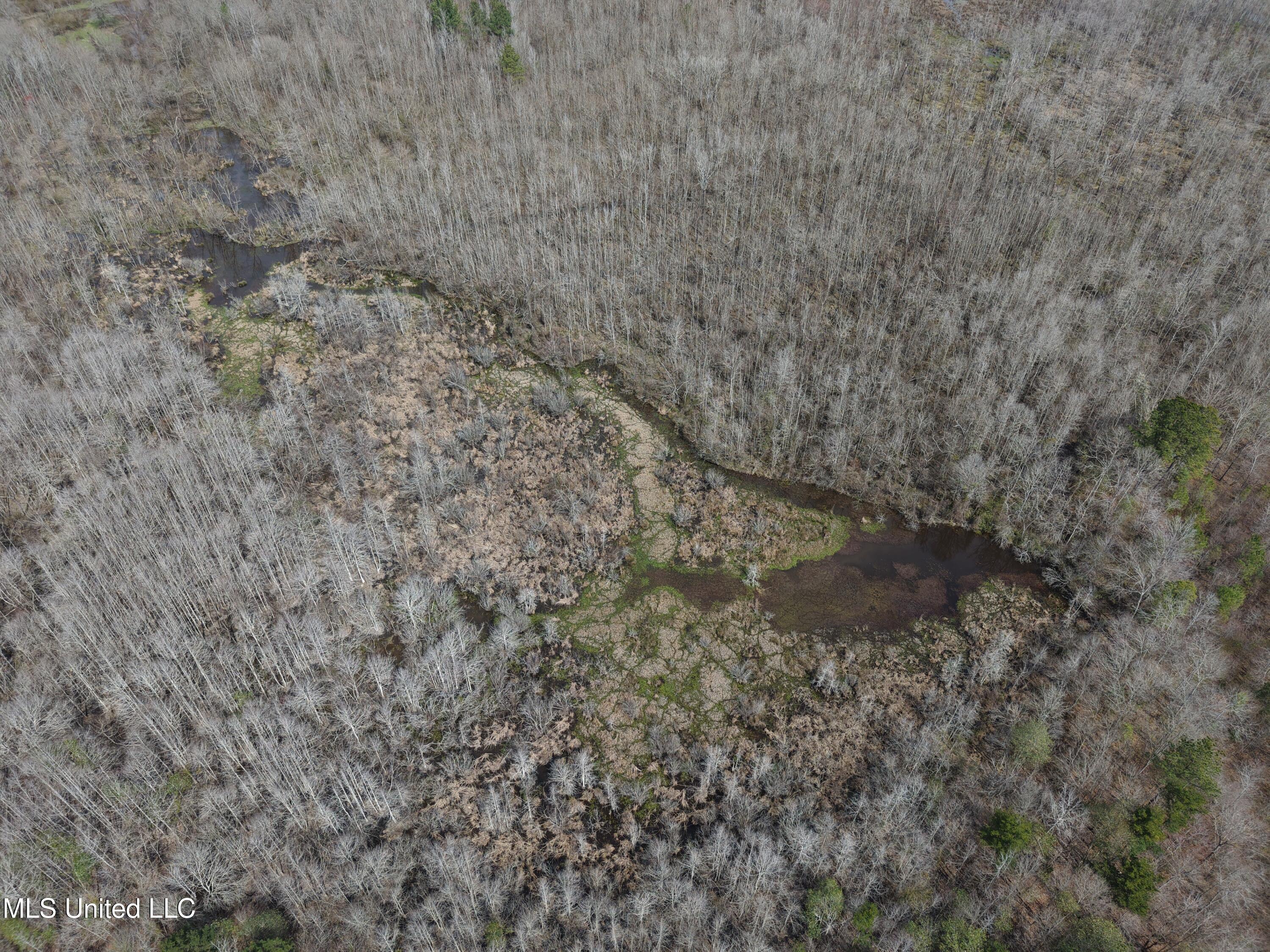 Clyde Evans Rd, Newton, Mississippi image 15
