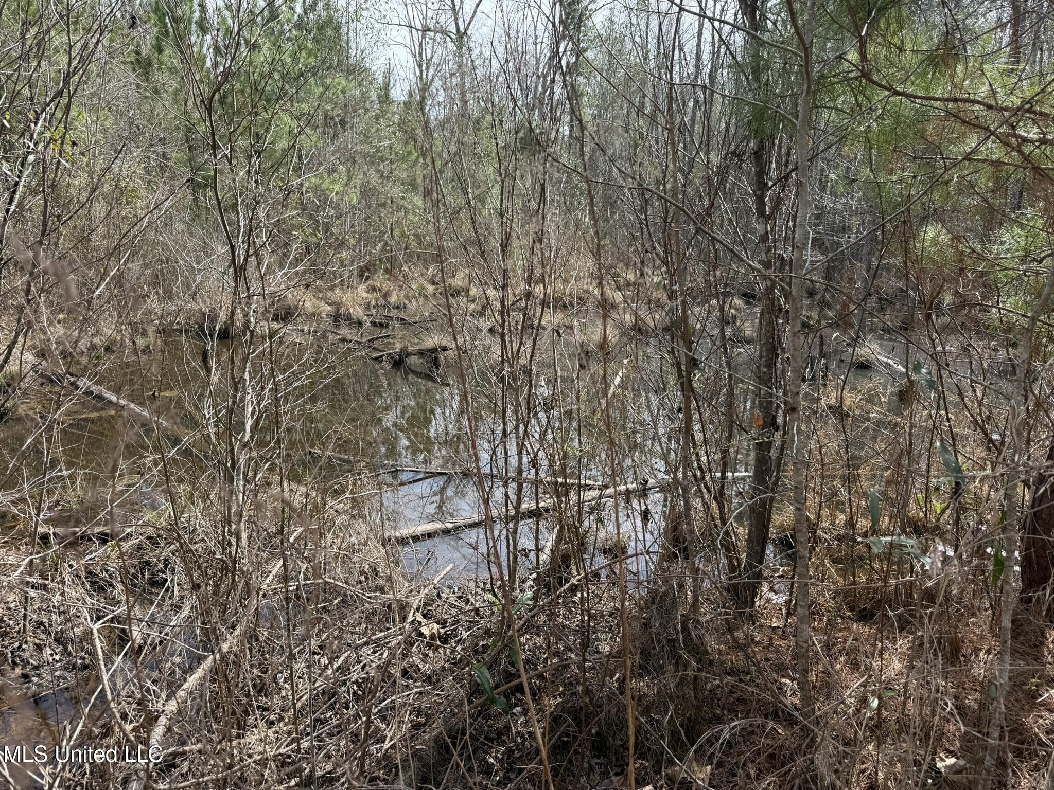 Clyde Evans Rd, Newton, Mississippi image 10