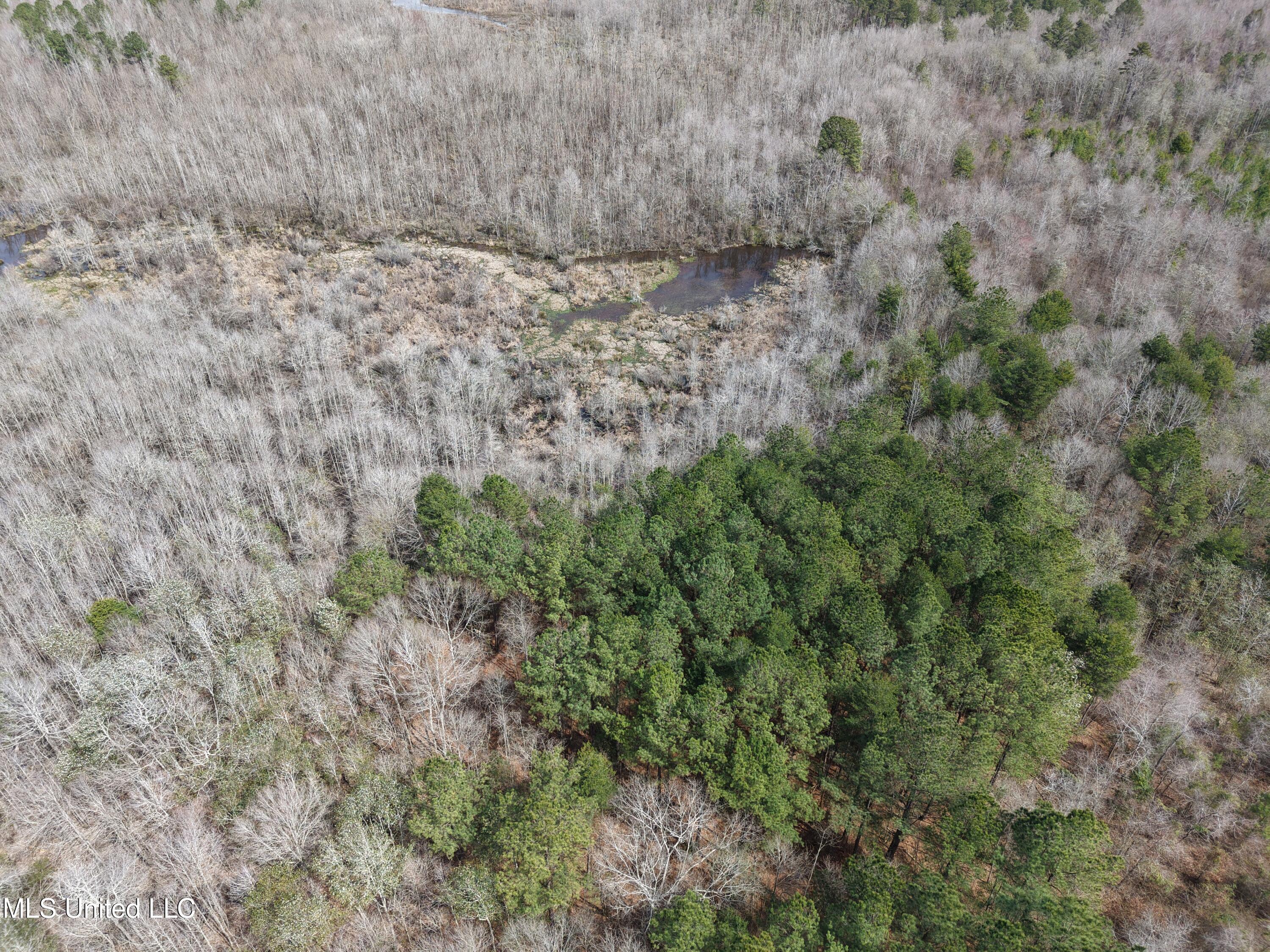 Clyde Evans Rd, Newton, Mississippi image 21