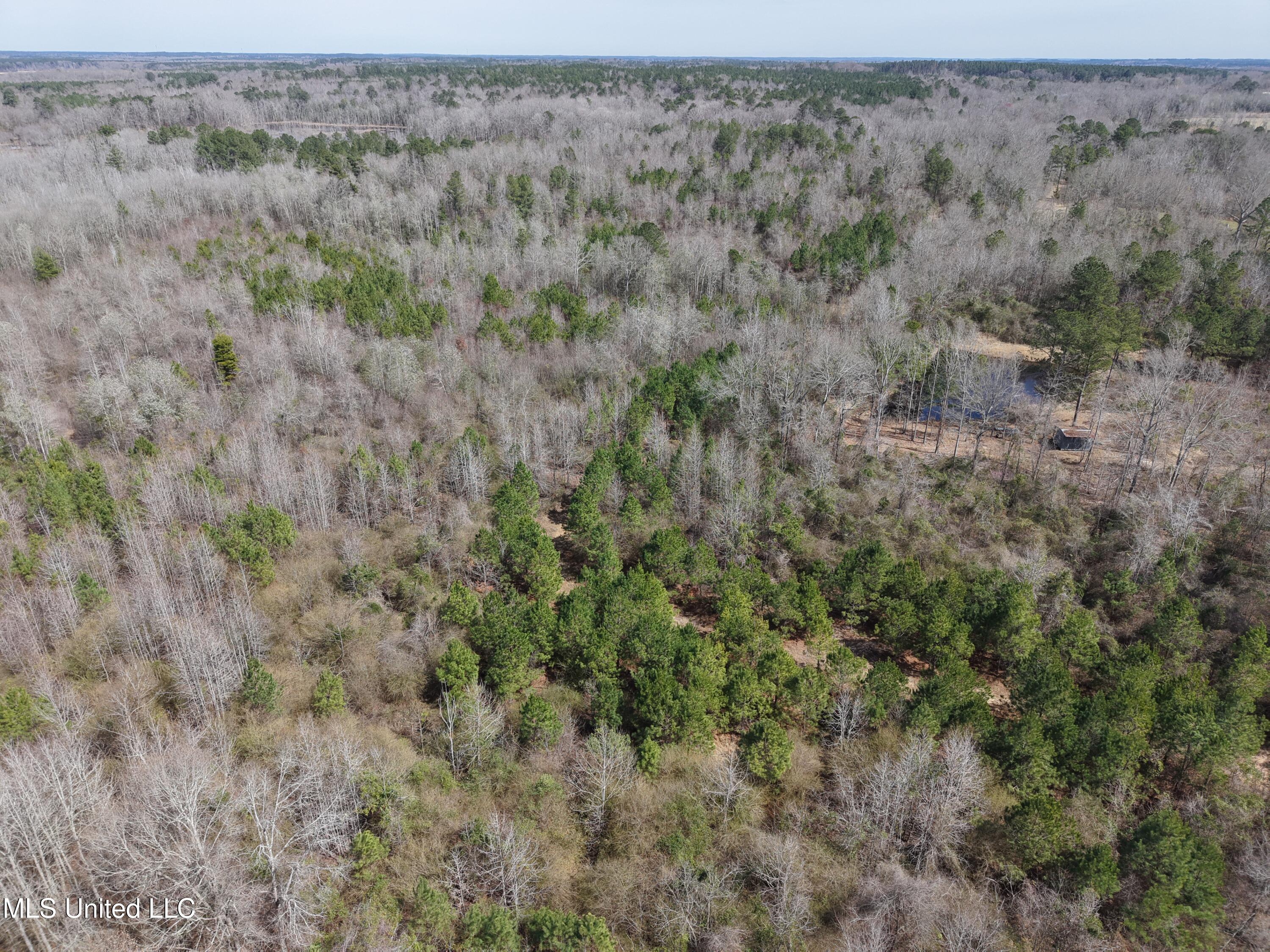 Clyde Evans Rd, Newton, Mississippi image 26