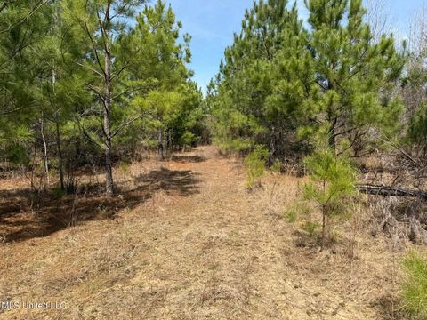 Vacant Land For Sale - Clyde Evans Rd<br/> Newton, MS 39345
