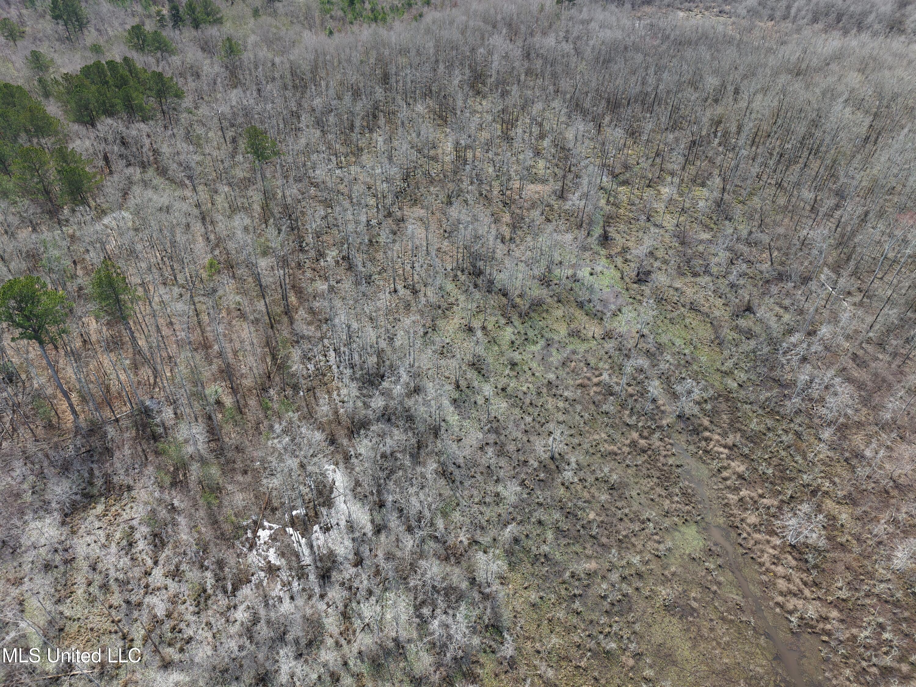 Clyde Evans Rd, Newton, Mississippi image 23