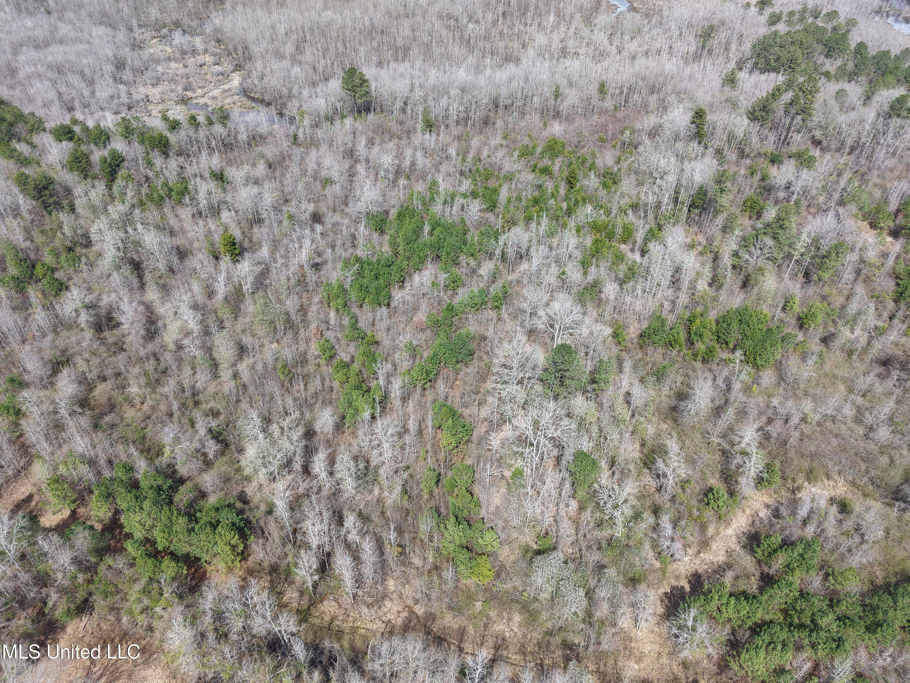 Clyde Evans Rd, Newton, Mississippi image 25