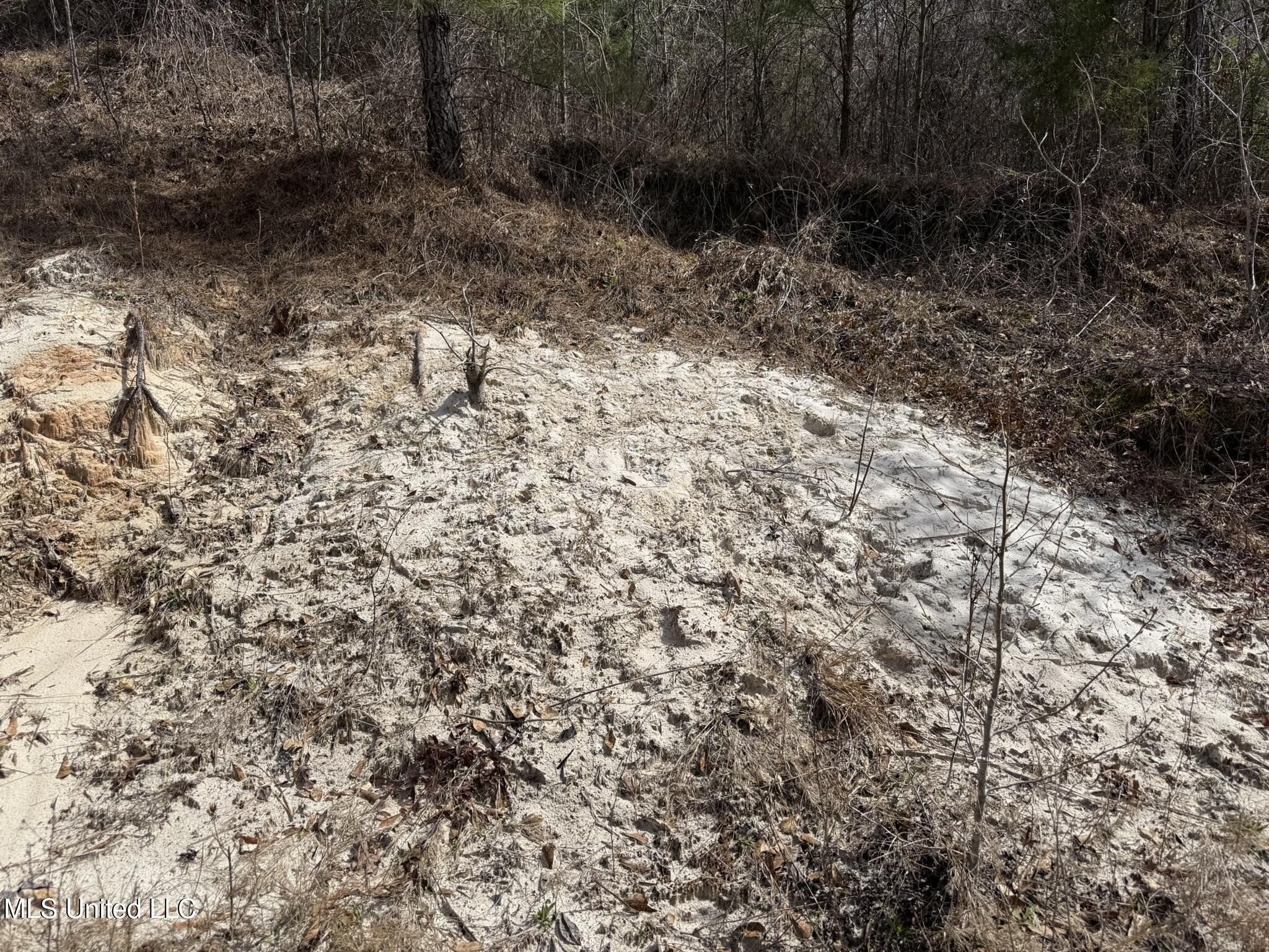 Clyde Evans Rd, Newton, Mississippi image 8