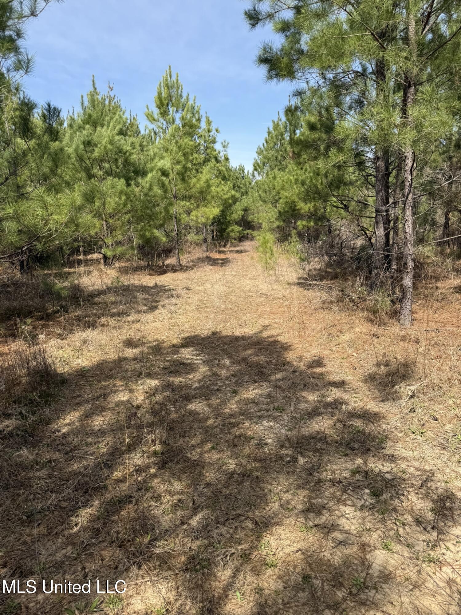 Clyde Evans Rd, Newton, Mississippi image 4