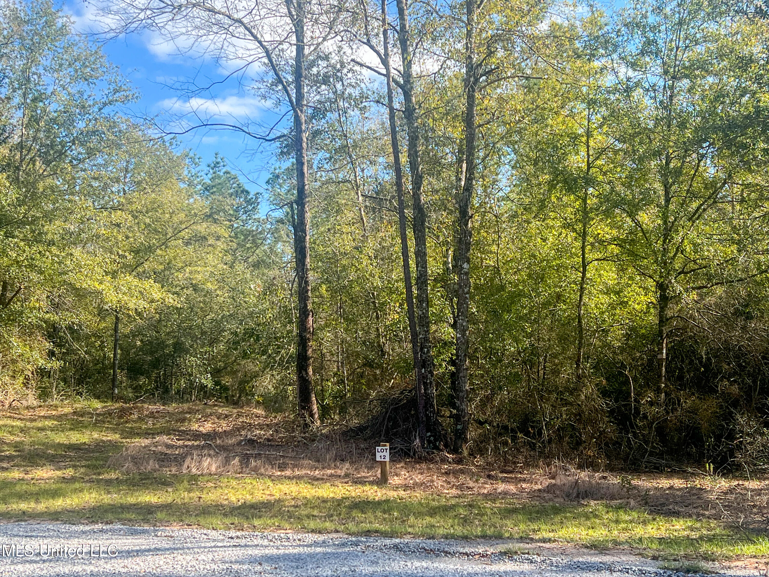 Lot 12 Pine Ridge Lane, Lucedale, Mississippi image 4