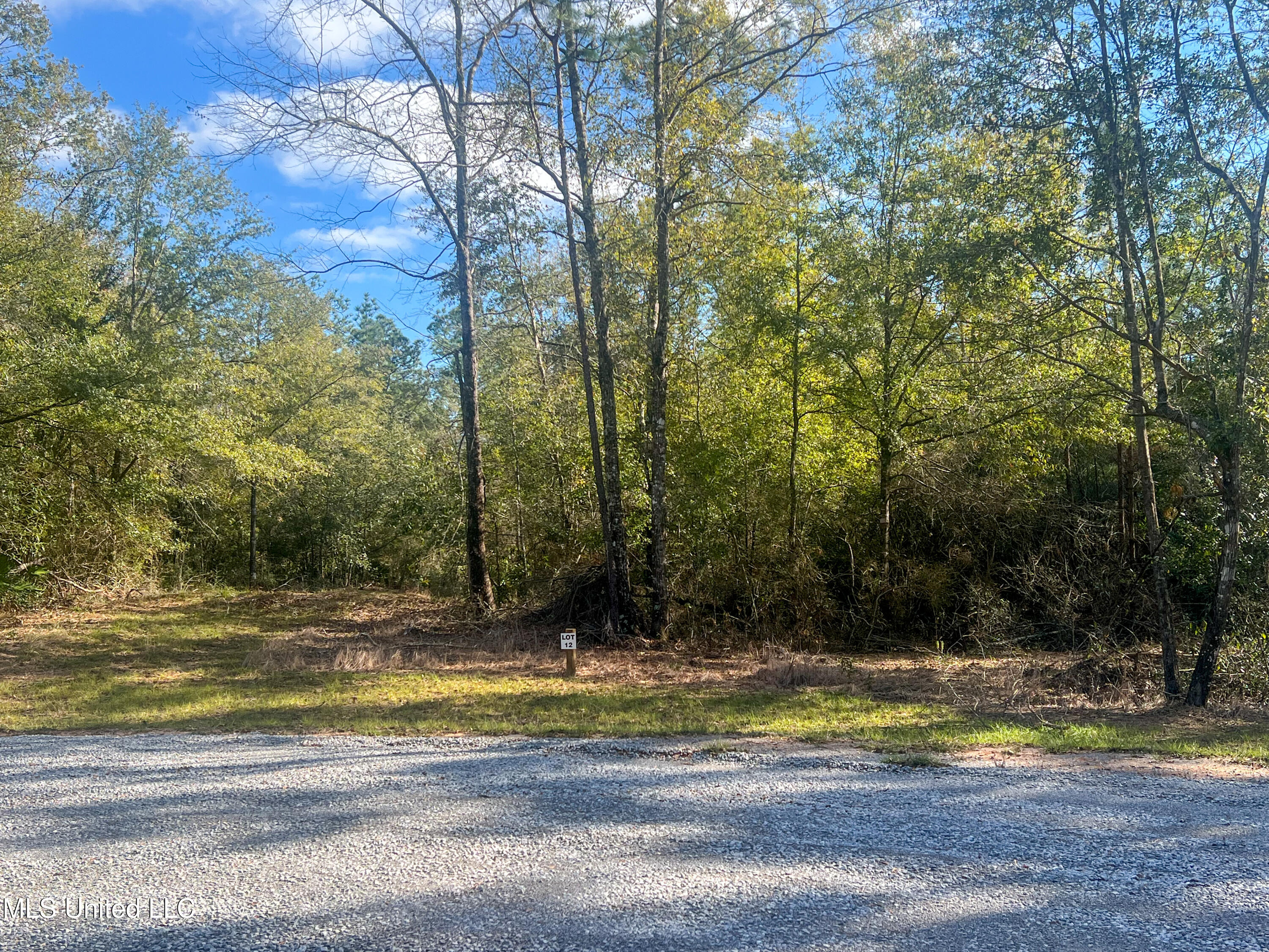 Lot 12 Pine Ridge Lane, Lucedale, Mississippi image 3