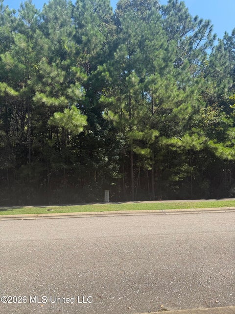 Vacant Land For Sale - 80 S Of Fields Flds<br/> Lamar County, Hattiesburg, MS 39402