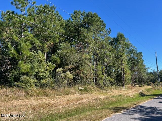 Cain Road, Bay Saint Louis, Mississippi image 3