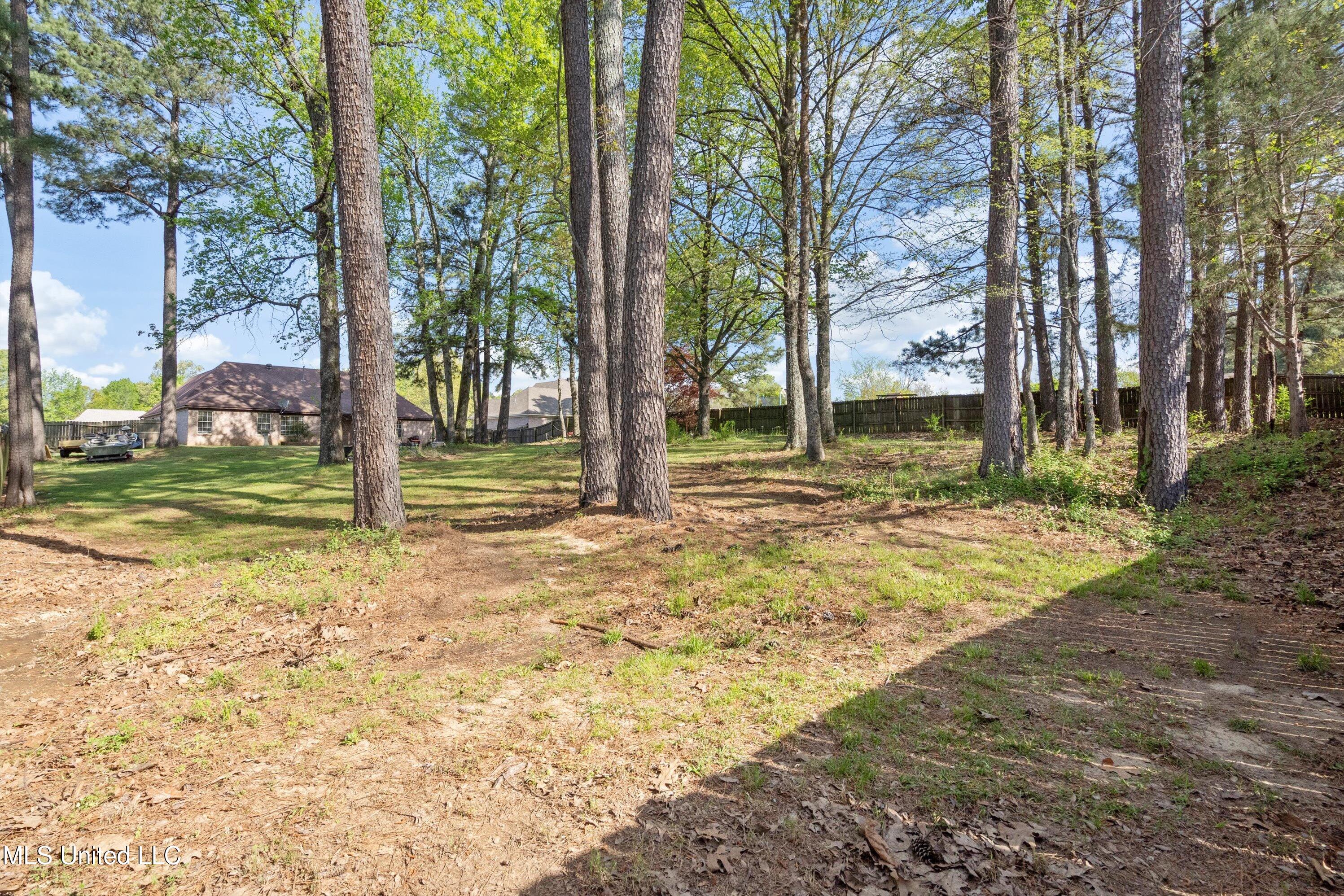 9777 Dorothy Drive, Olive Branch, Mississippi image 30