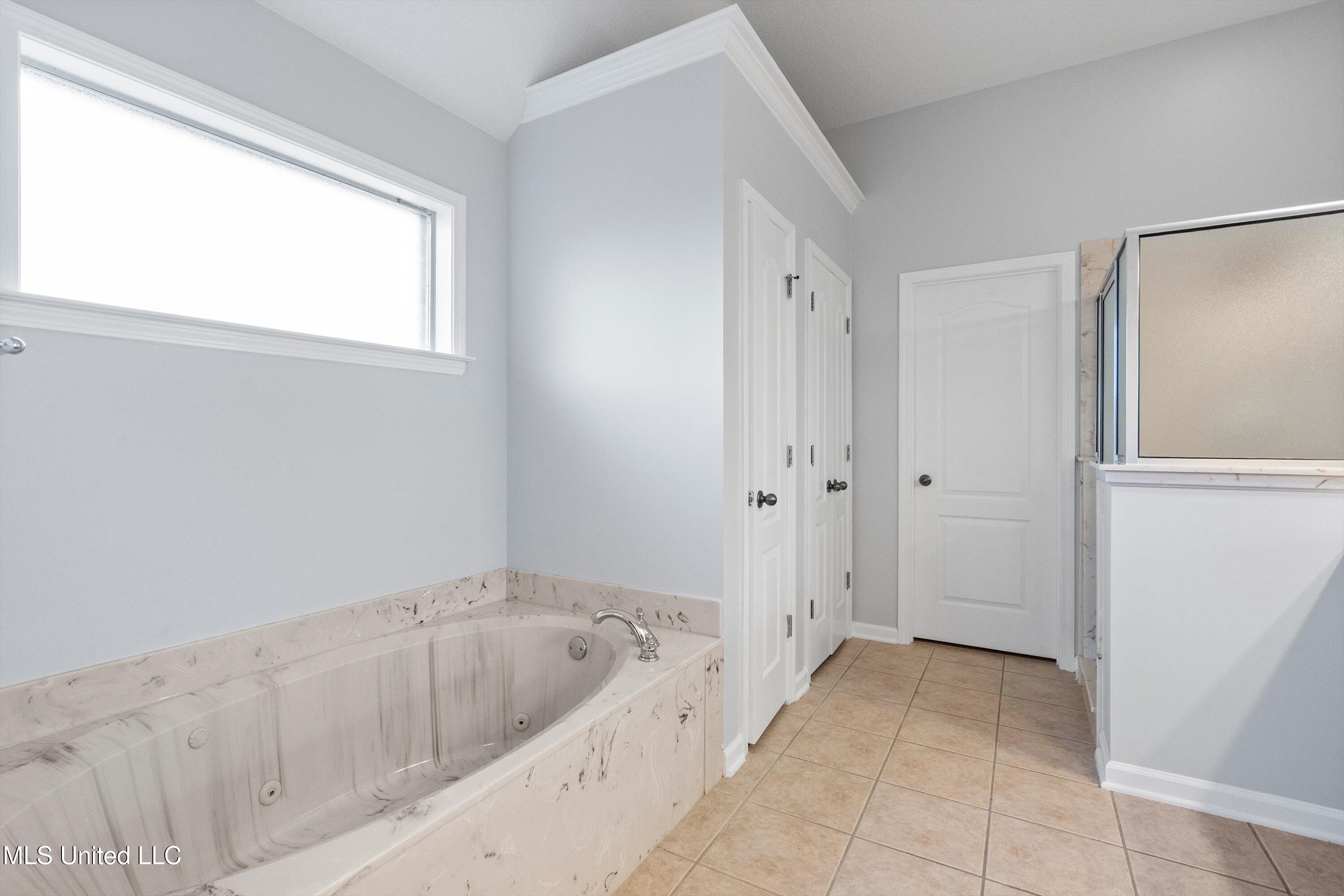 9777 Dorothy Drive, Olive Branch, Mississippi image 15