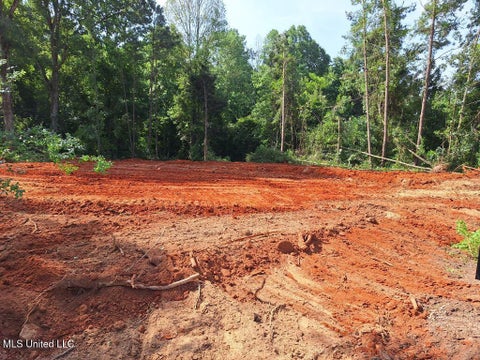 Vacant Land For Sale - 1063 Dry Creek Road<br/> Mendenhall, MS 39114