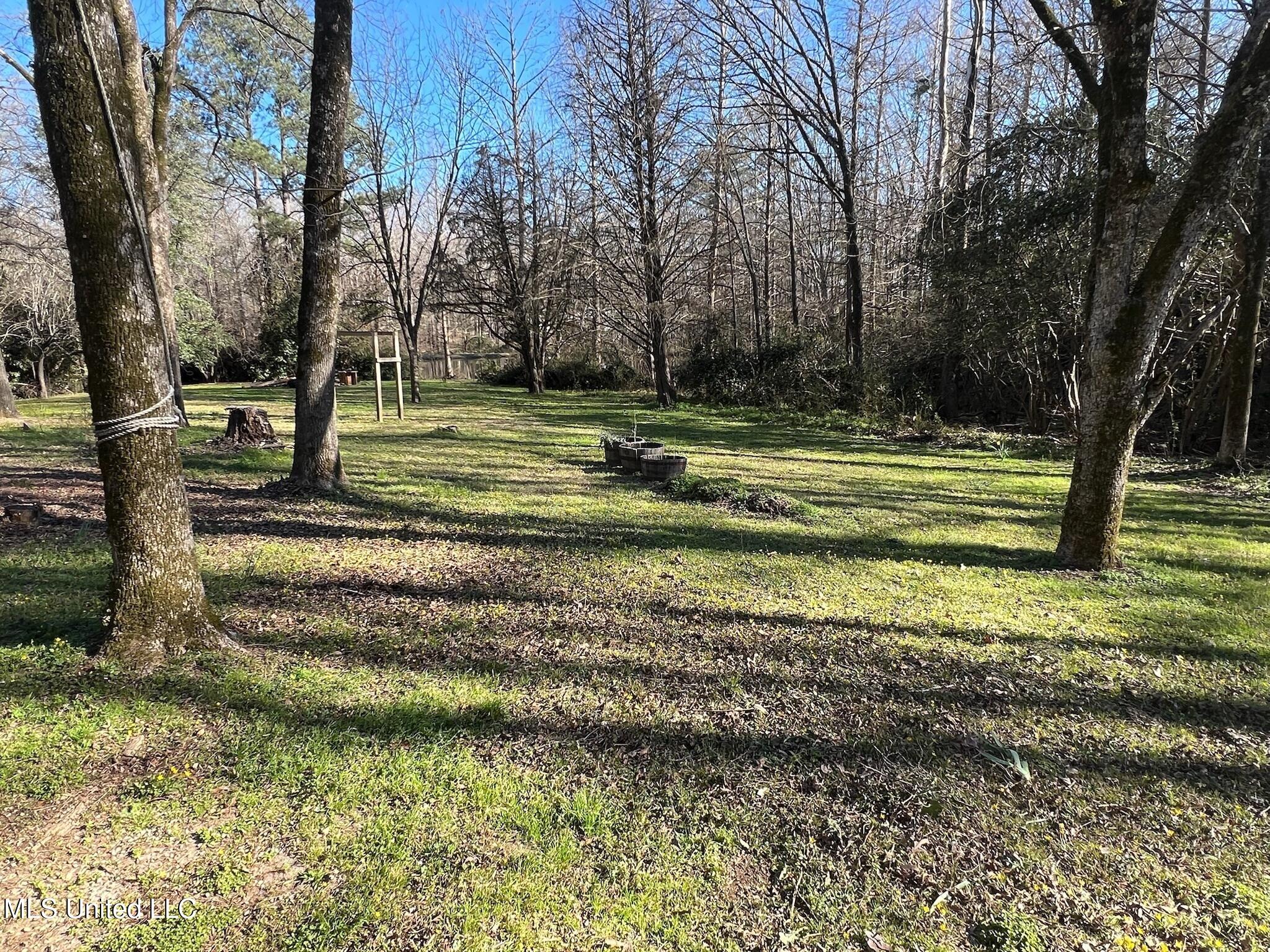 203 Pauline Drive, Raymond, Mississippi image 16