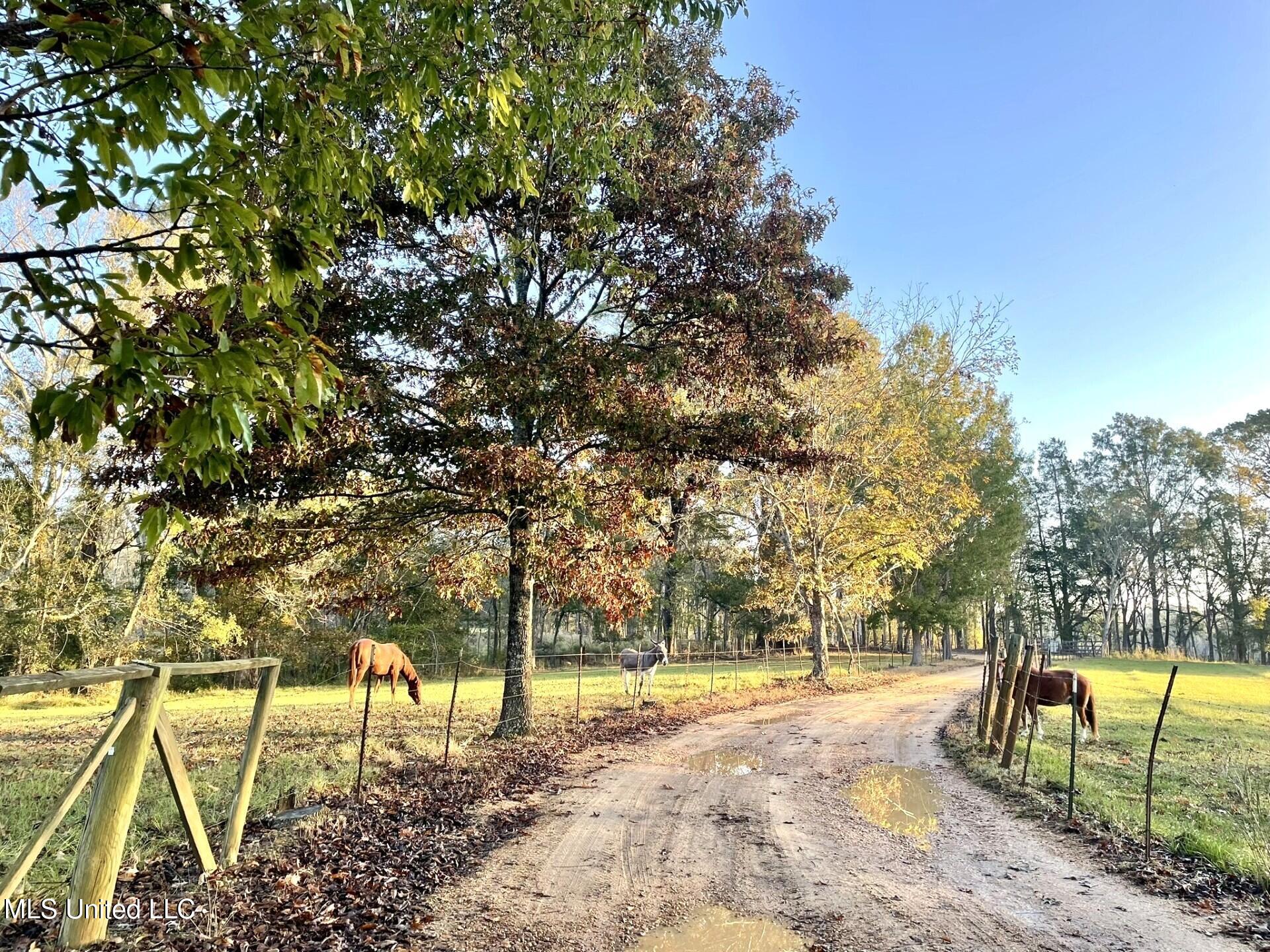 30 Hawkins Road, Natchez, Mississippi image 21