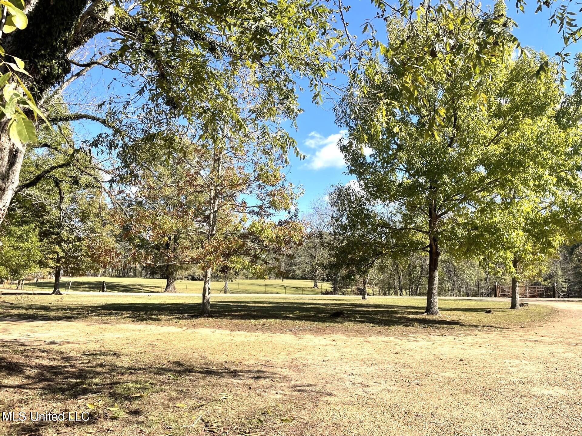 30 Hawkins Road, Natchez, Mississippi image 24
